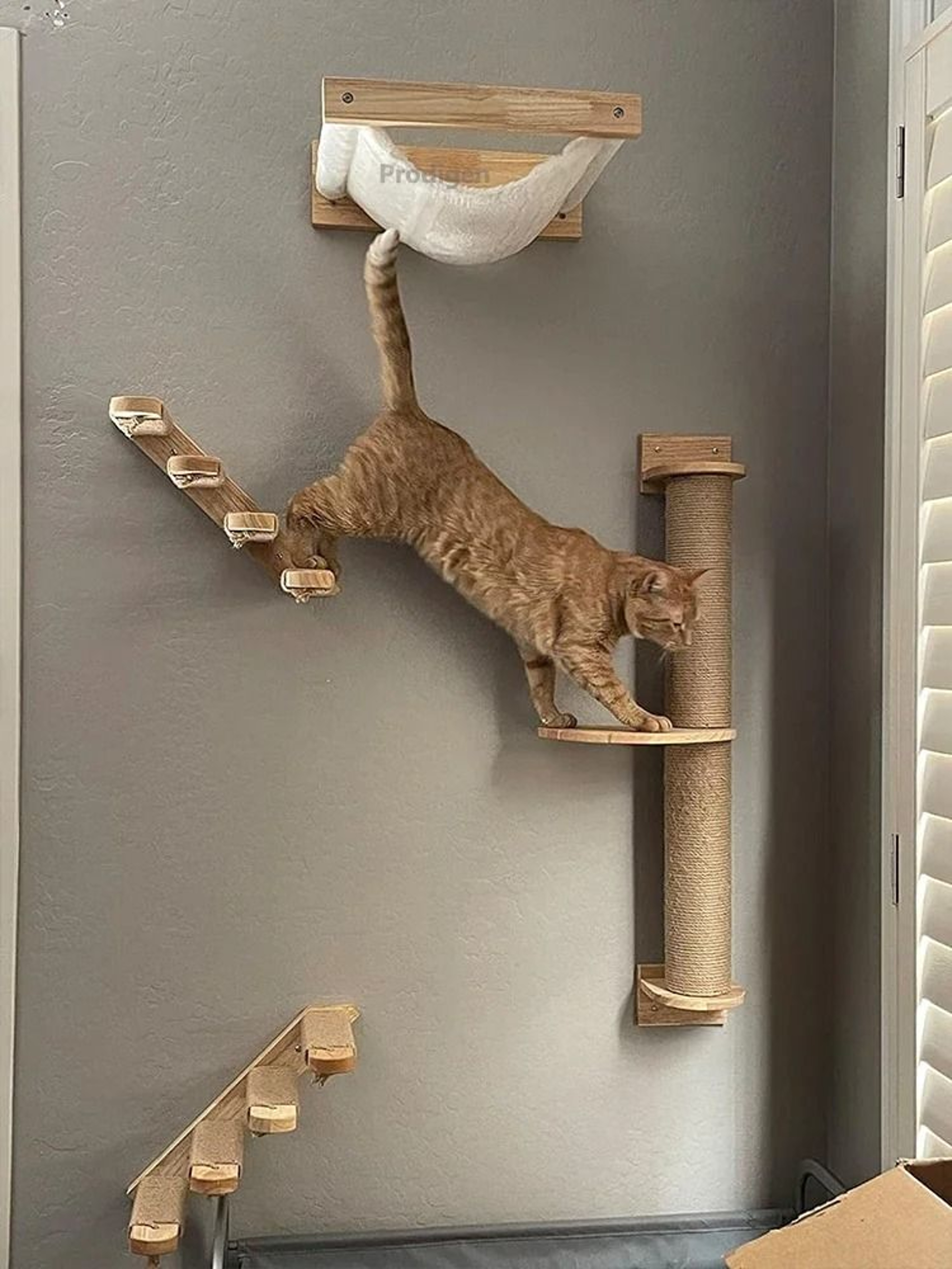 Wall Mounted Cat Climbing Shelf With Sisal Scratching Post 16