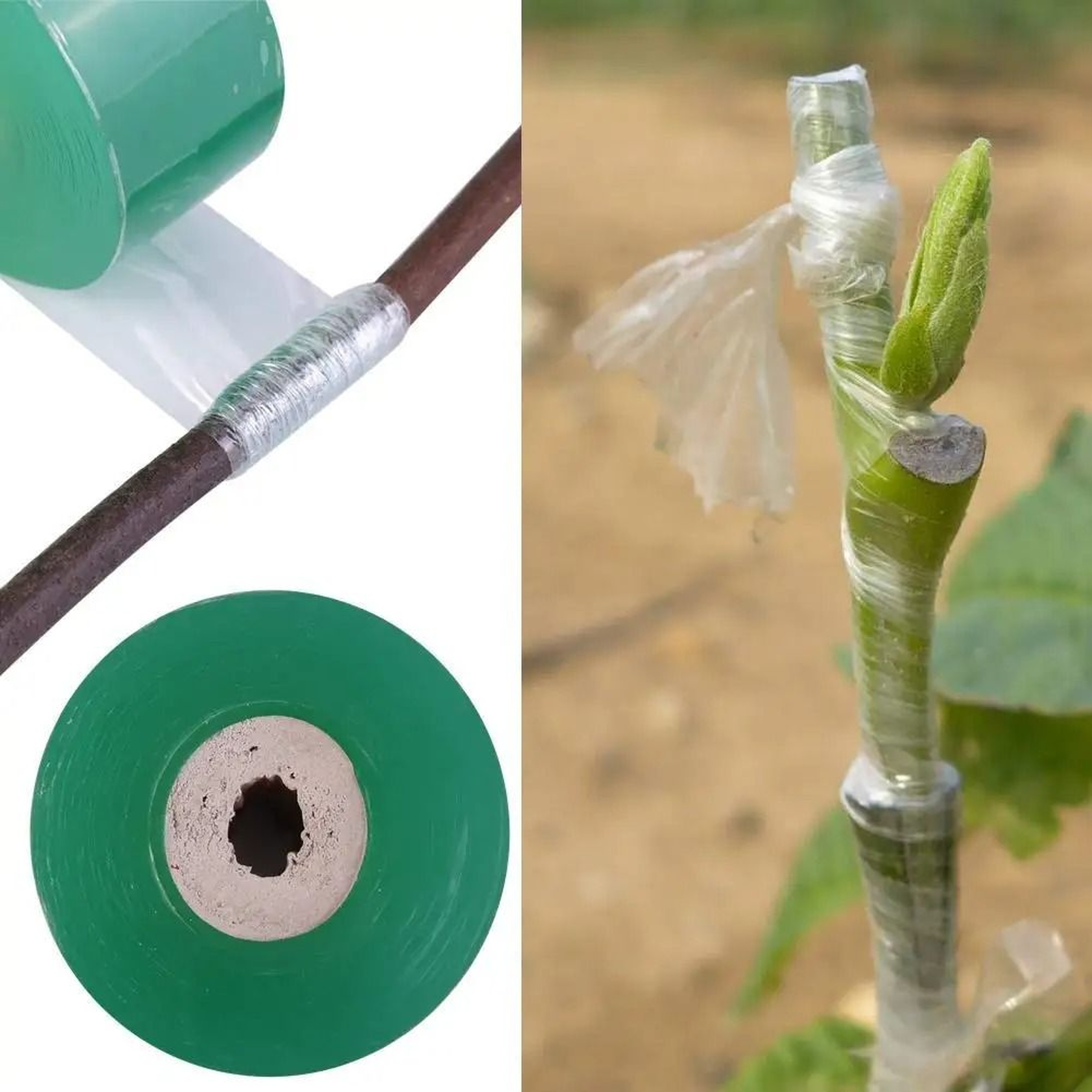 Stretchable PE Grafting Tape For Garden Trees And Seedlings 9