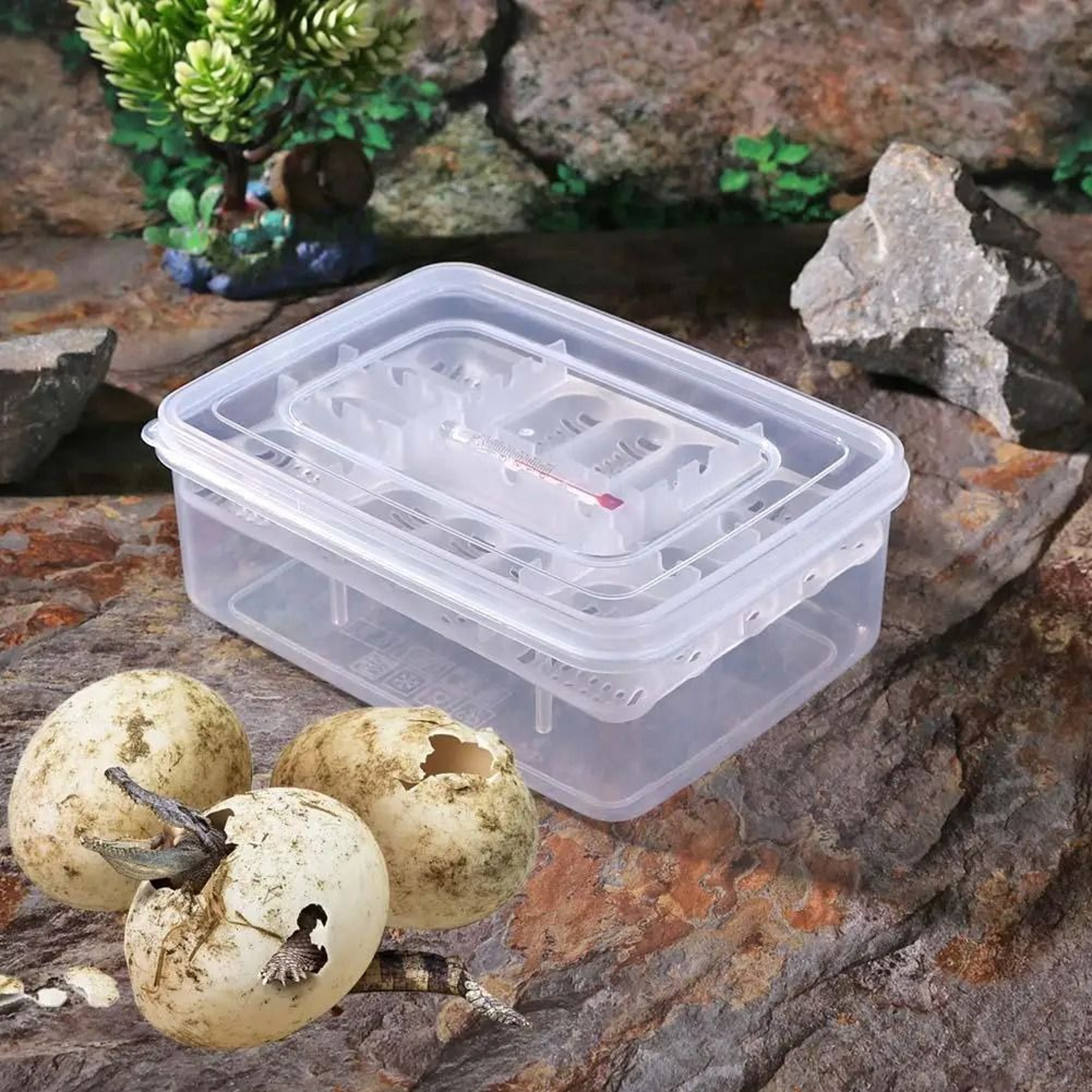 16 Grid Reptile Egg Incubator Tray For Lizard And Snake Breeding 0