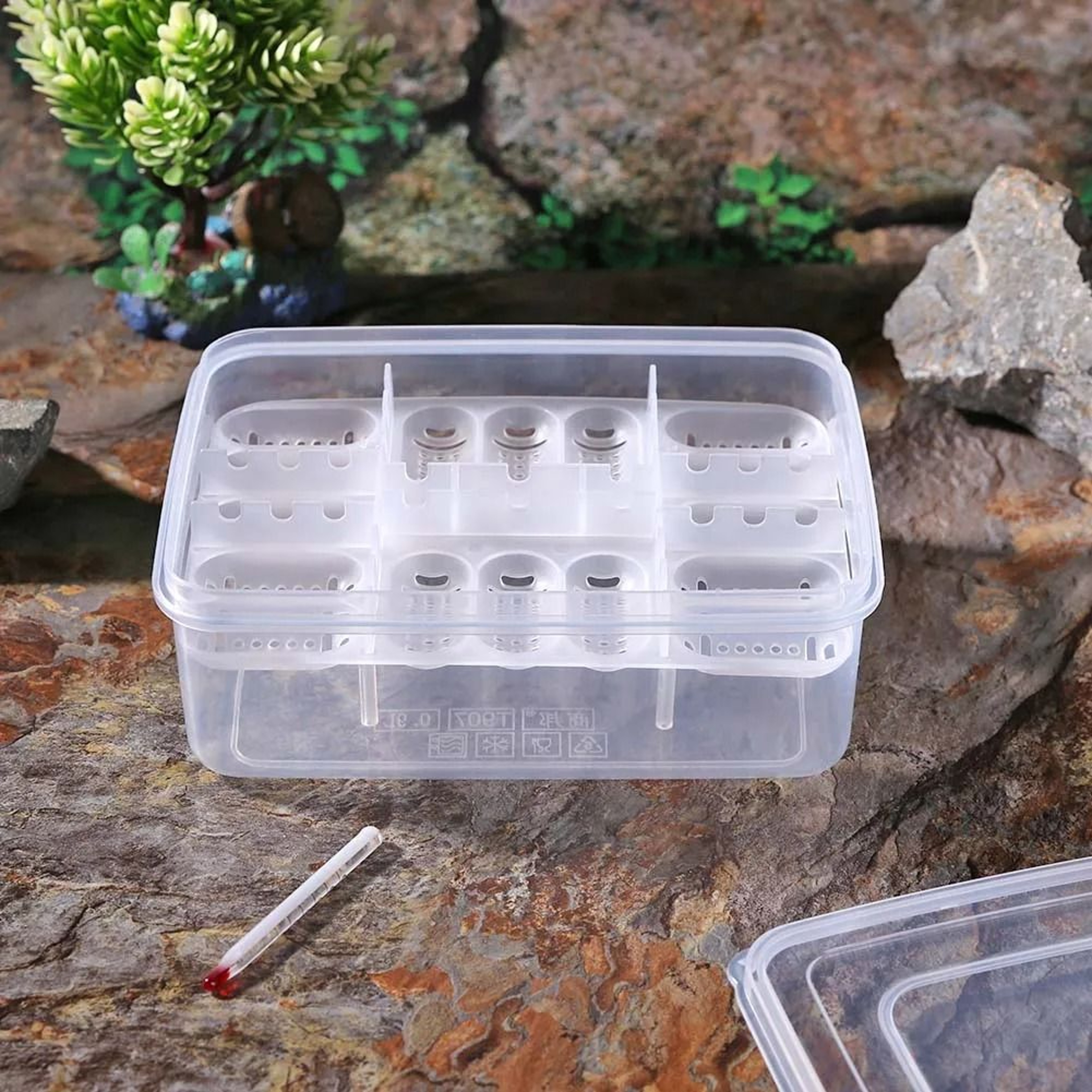16 Grid Reptile Egg Incubator Tray For Lizard And Snake Breeding 5
