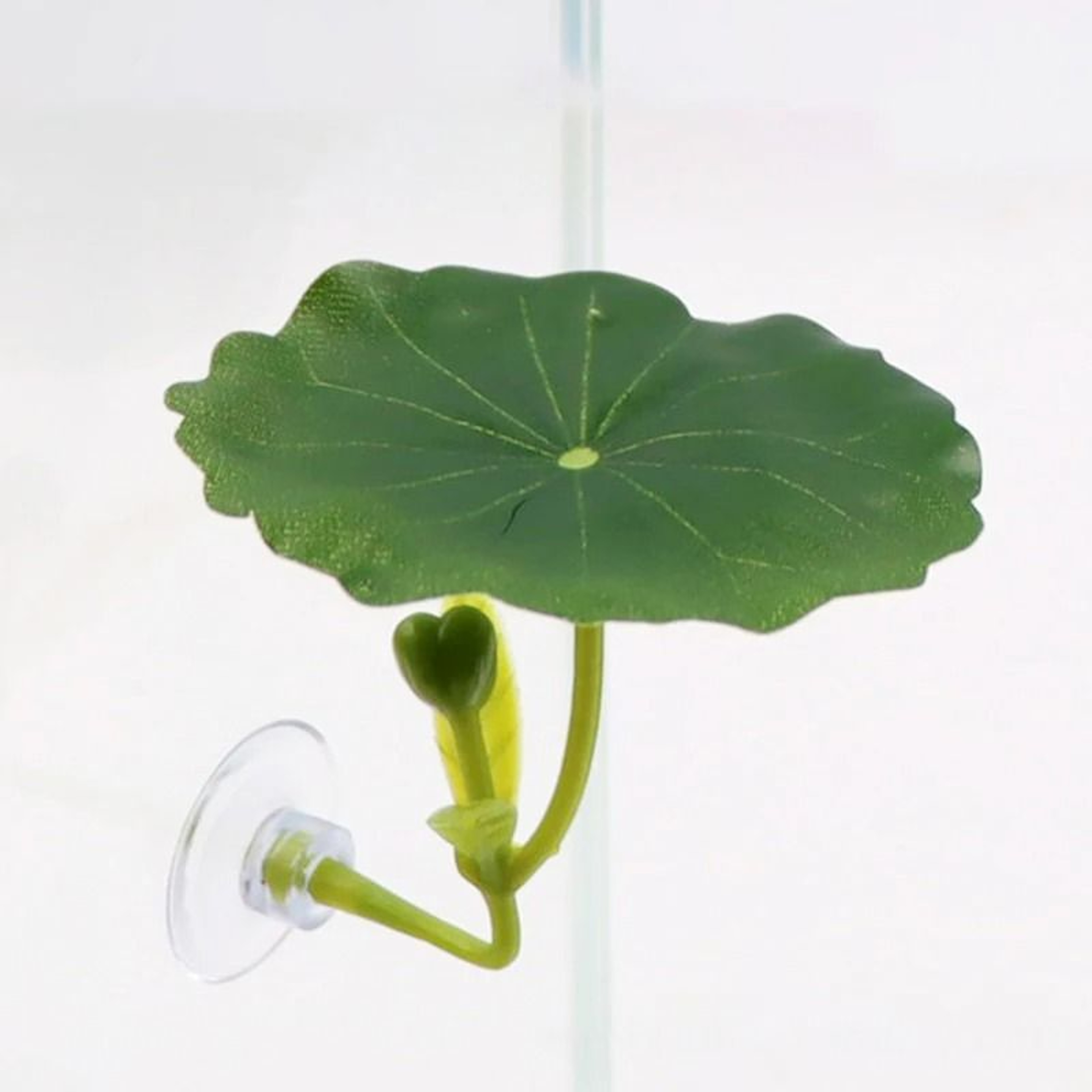 Comfort Leaf Betta Fish Hammock And Aquarium Resting Bed 2