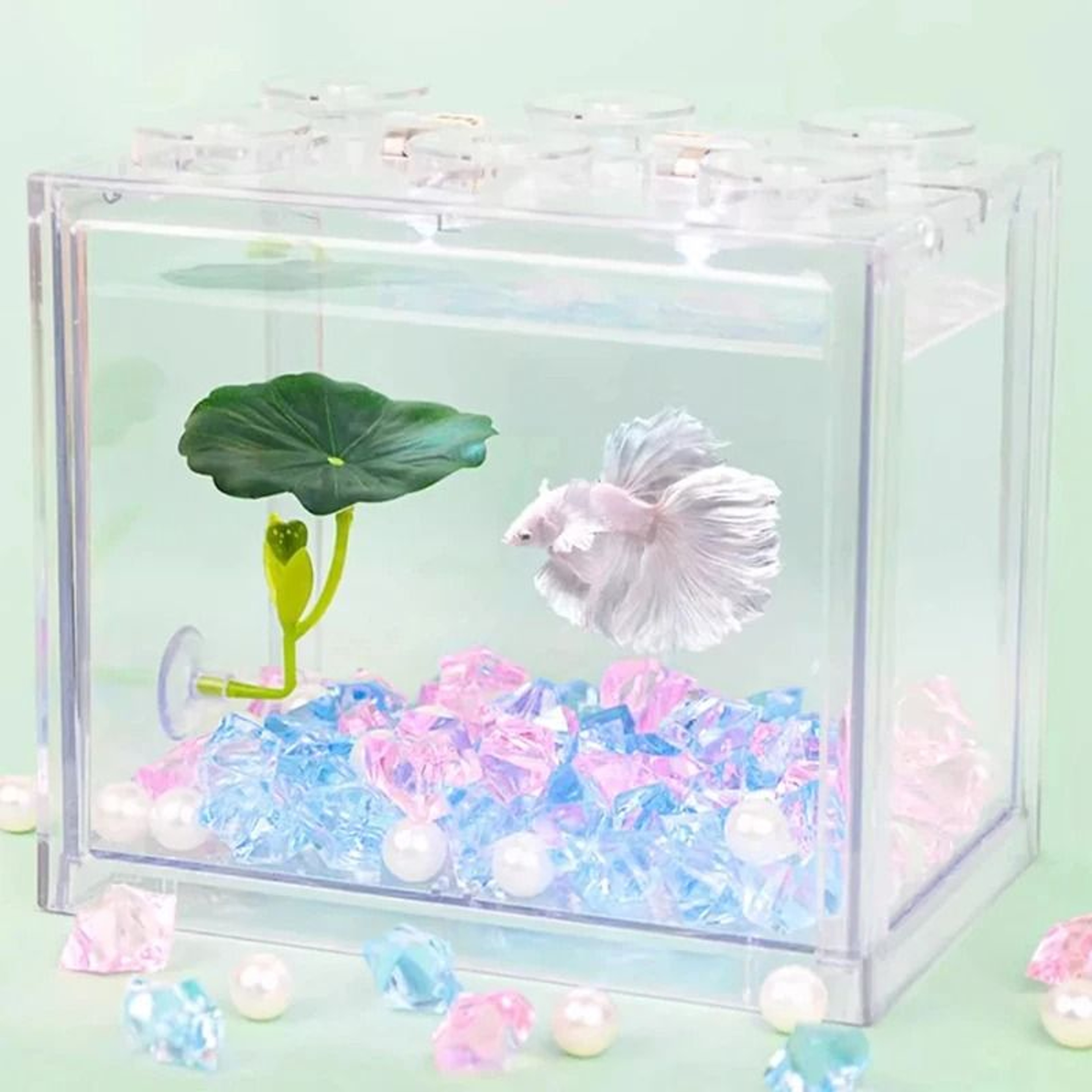 Comfort Leaf Betta Fish Hammock And Aquarium Resting Bed 0