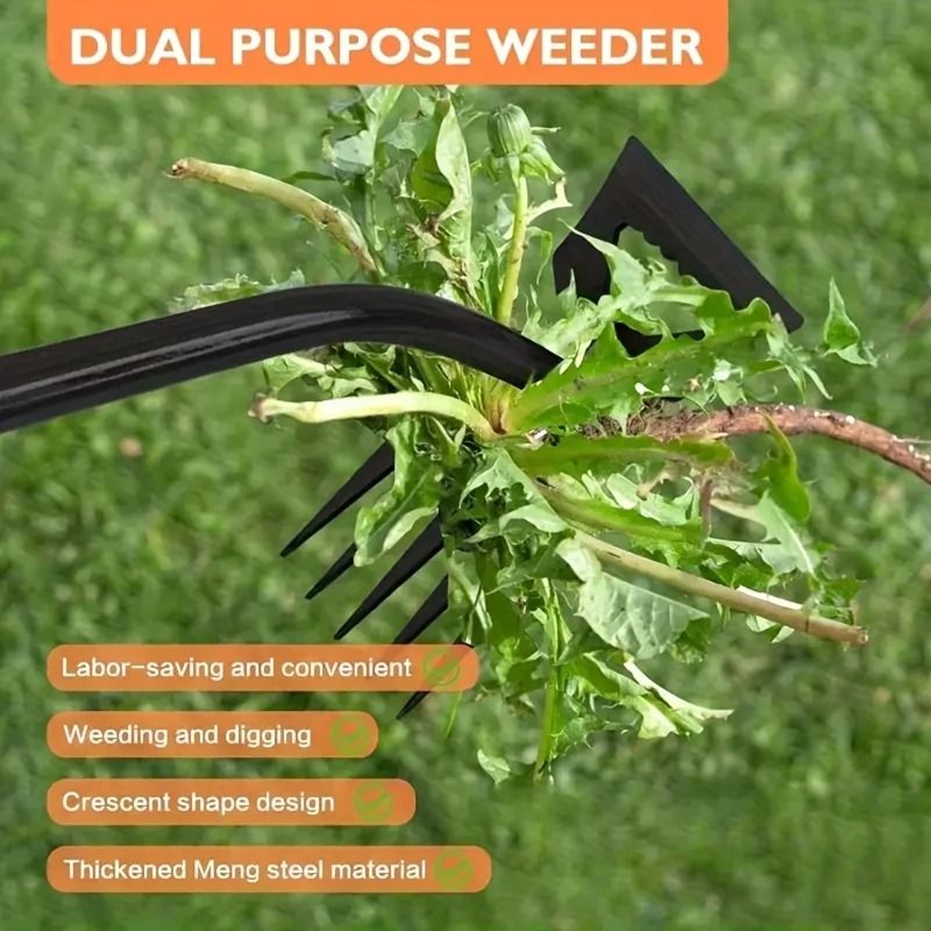 Carbon Steel Garden Weeding Rake And Root Remover 0