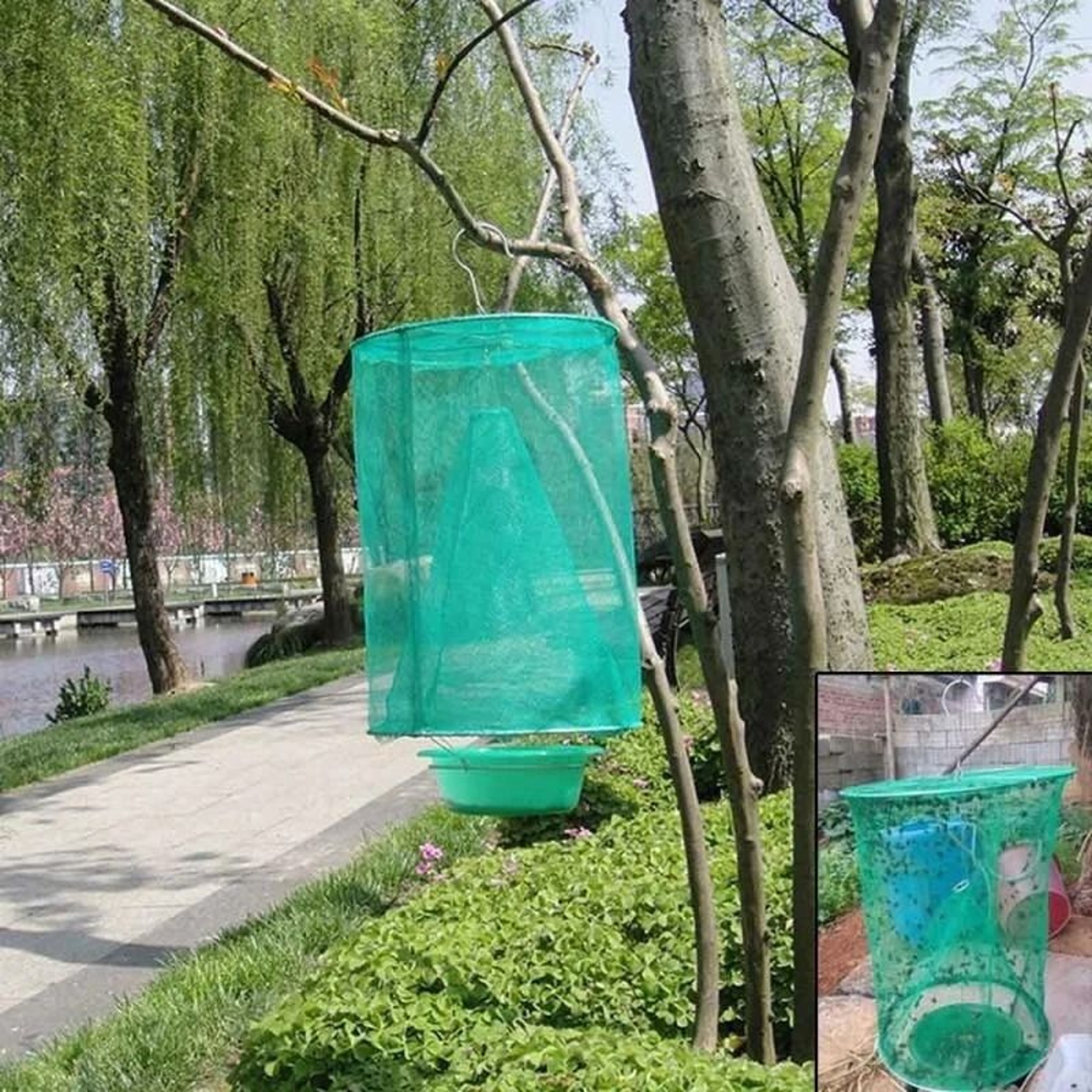 Reusable Hanging Fly Trap Outdoor Fly Catcher Cage 4