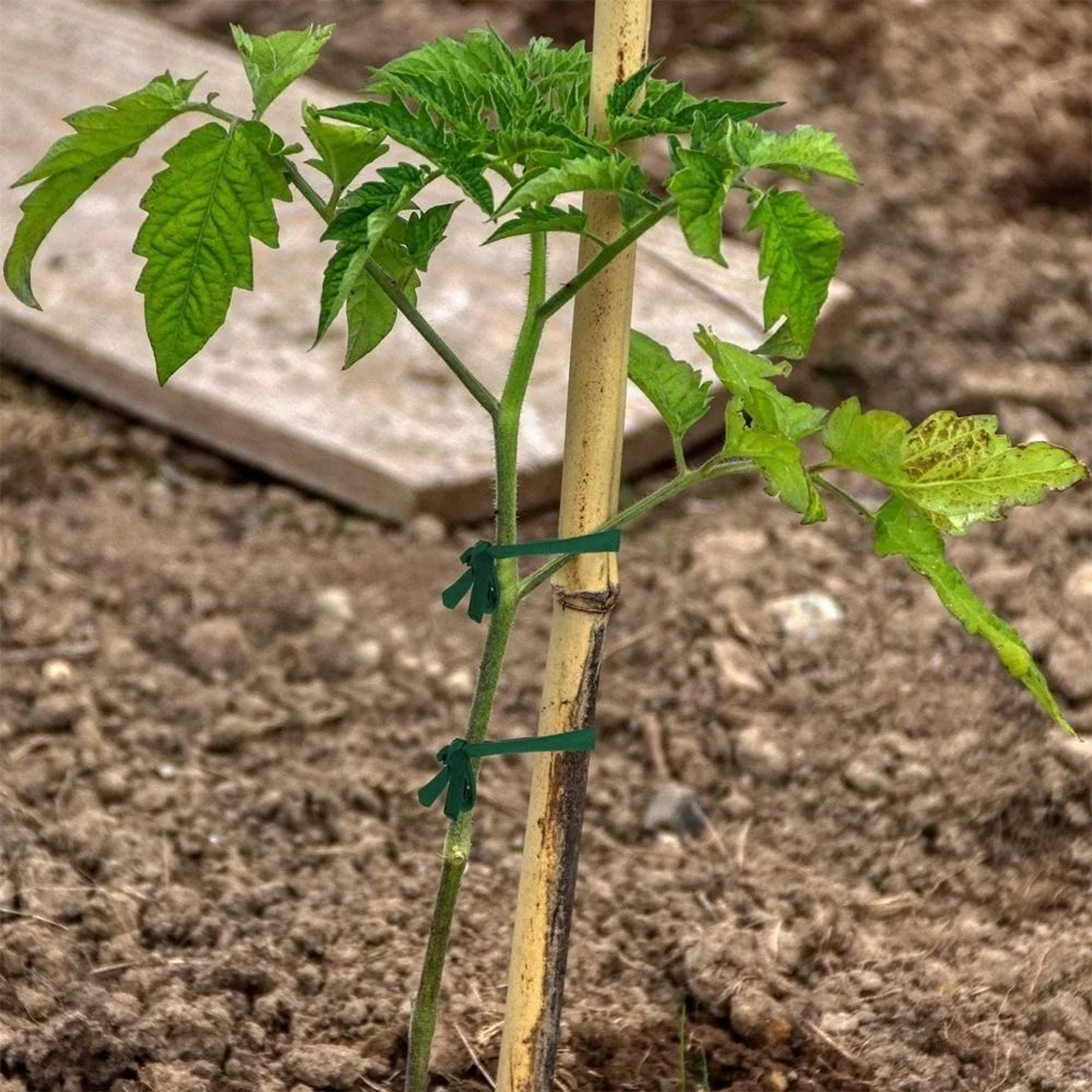 Soft Reusable Plant Support Ties For Climbing Plants And Home Cable Organization 4