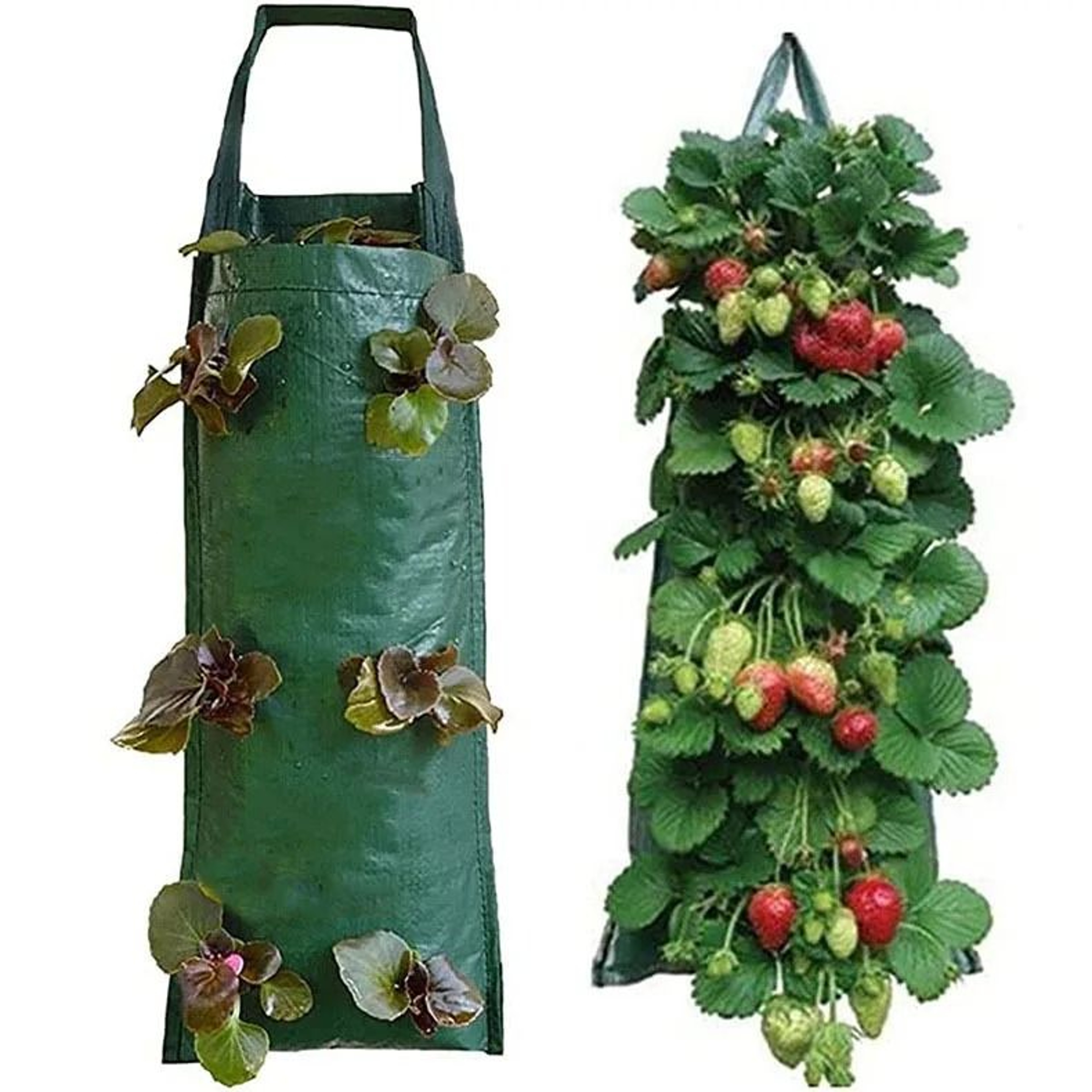 Hanging Strawberry Grow Bag For Upside Down Tomato Vegetable And Flower Gardening 3