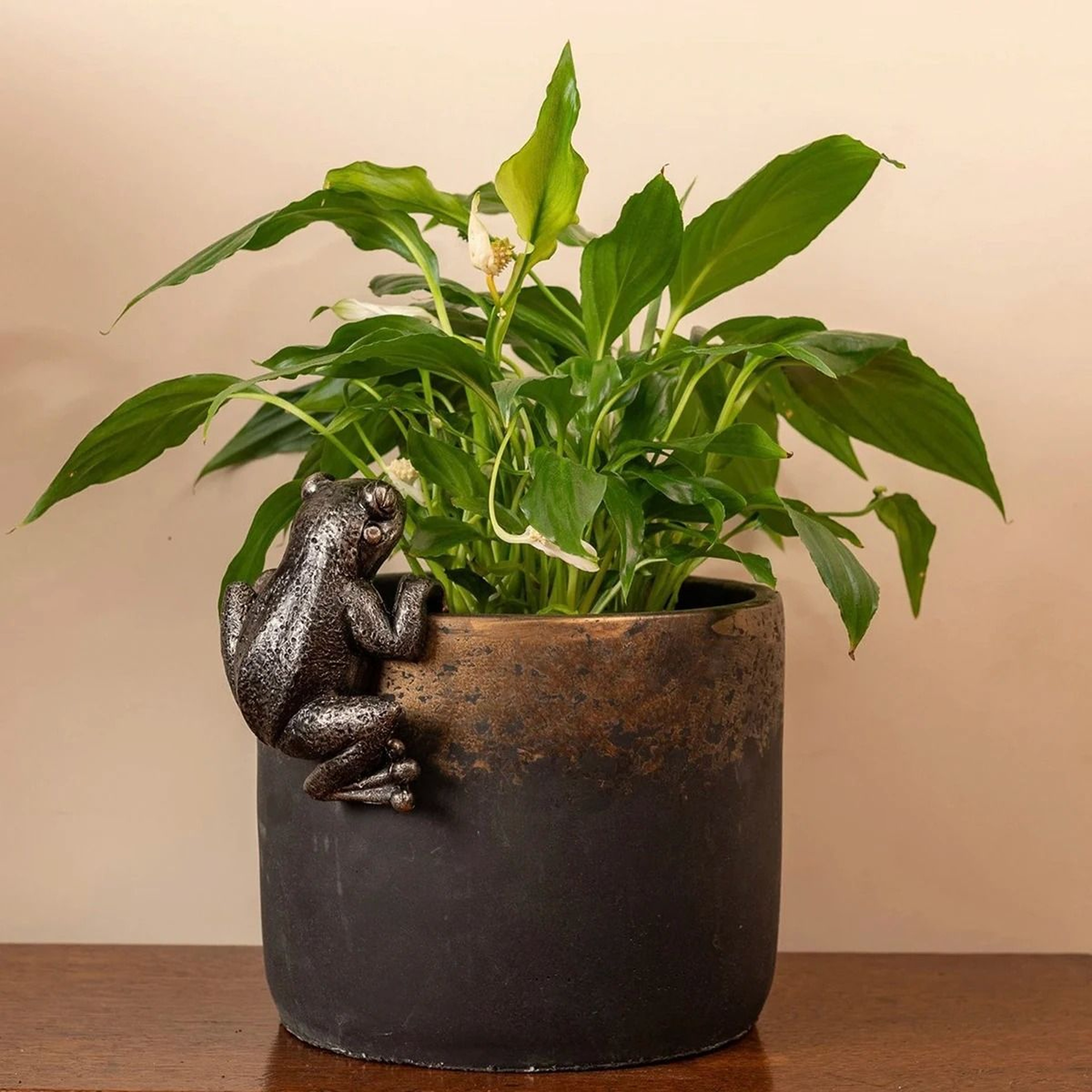 Cute Frog Flowerpot Hanger Resin Statue For Garden Bonsai And Planter Decor 5
