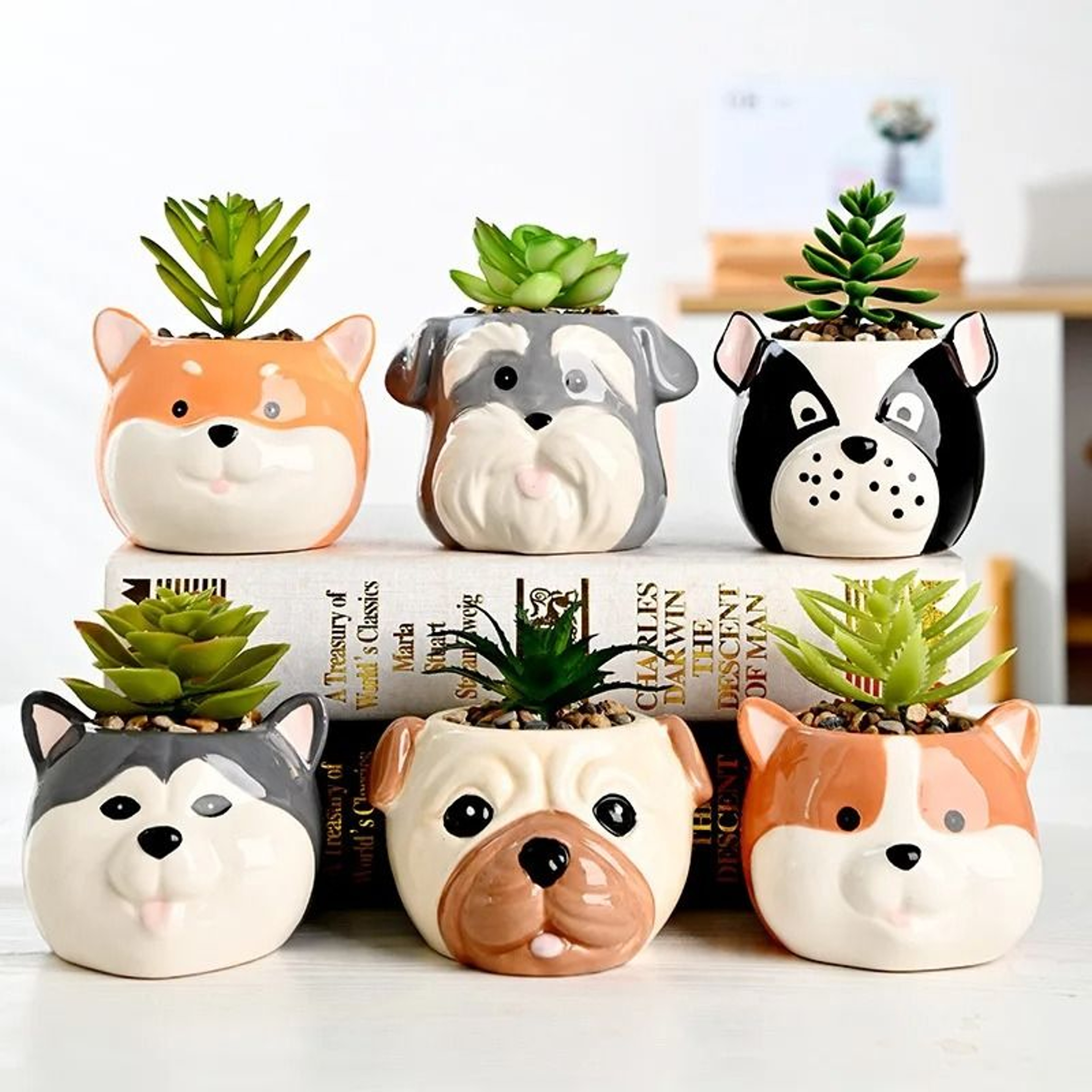 Cute Ceramic Animal Succulent Planter For Home Office Table Garden Decoration Display 0