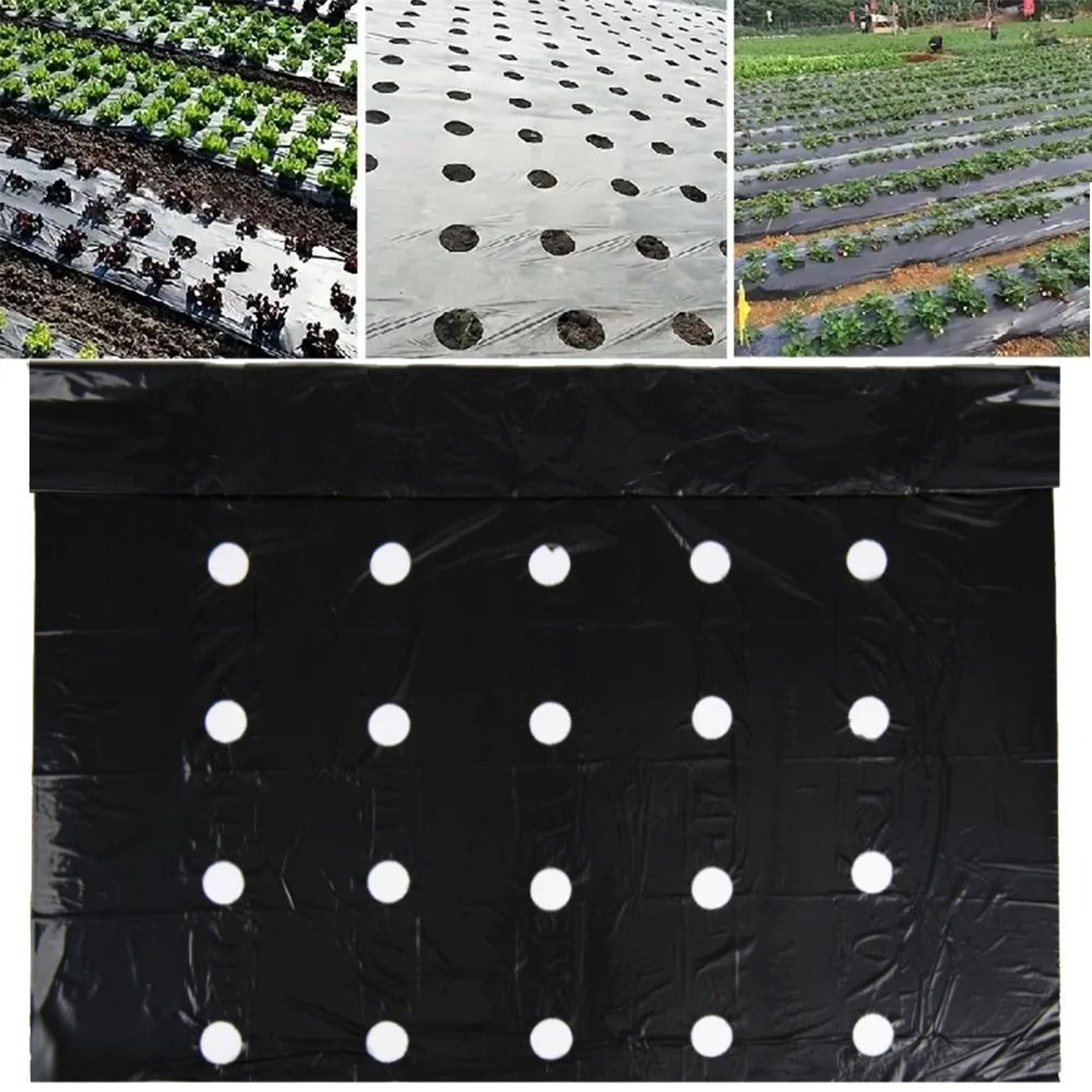 10M Pre Punched Black Mulch Film For Garden Planting 4