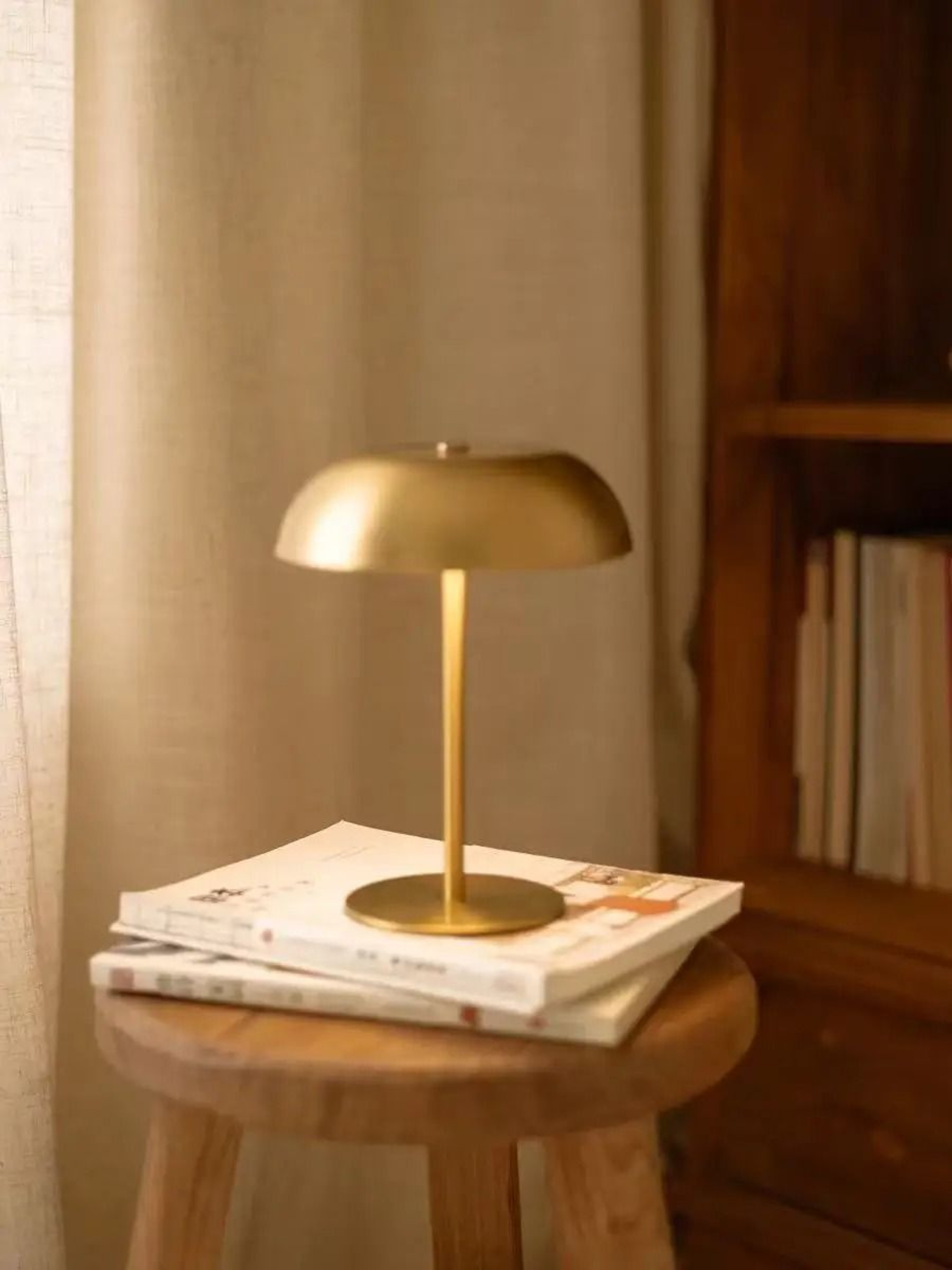Rechargeable Mushroom Touch Table Lamp With Three Color Dimmable Bedside Lighting 8