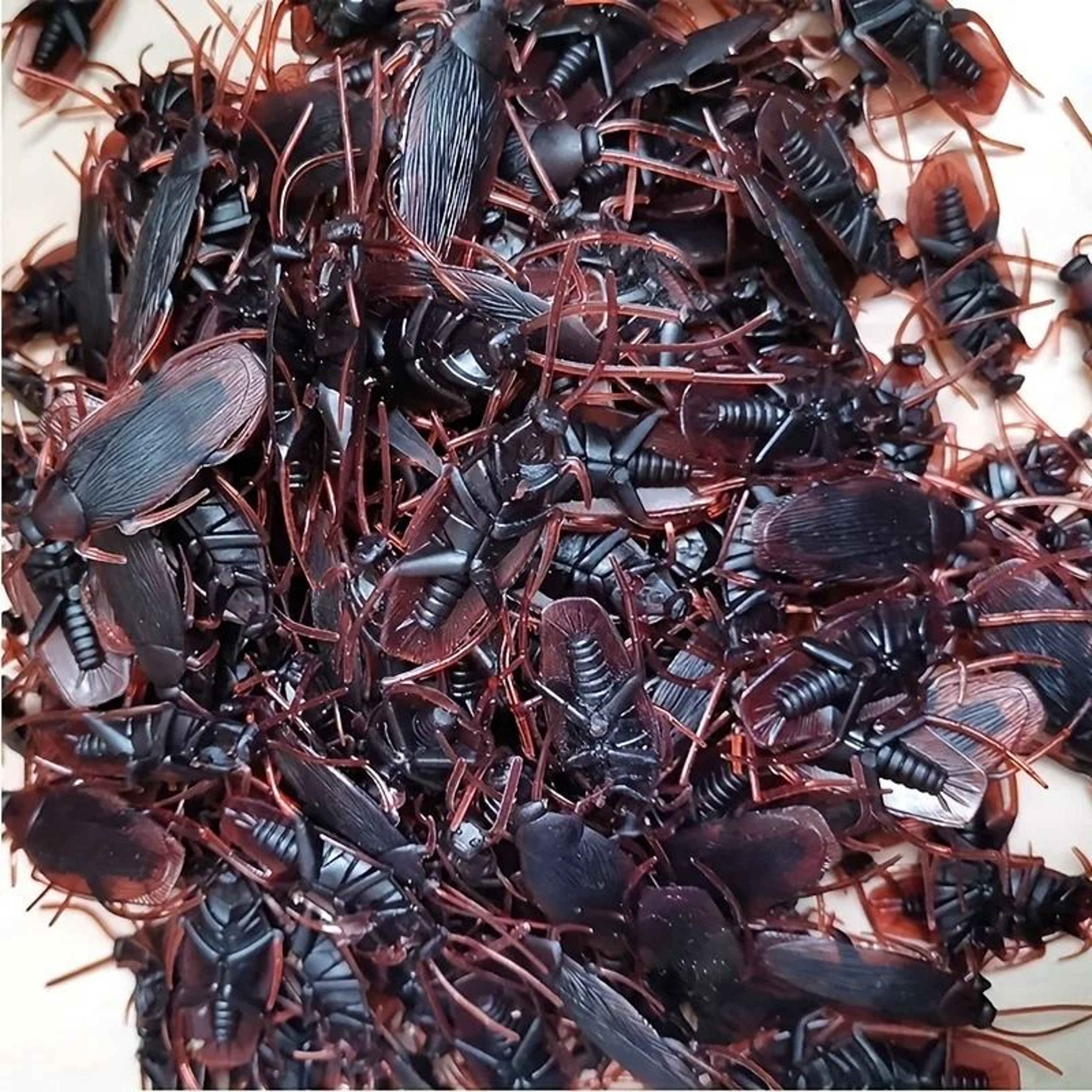 Realistic Fake Cockroach Prank Set For Halloween Parties And Gag Gifts 25