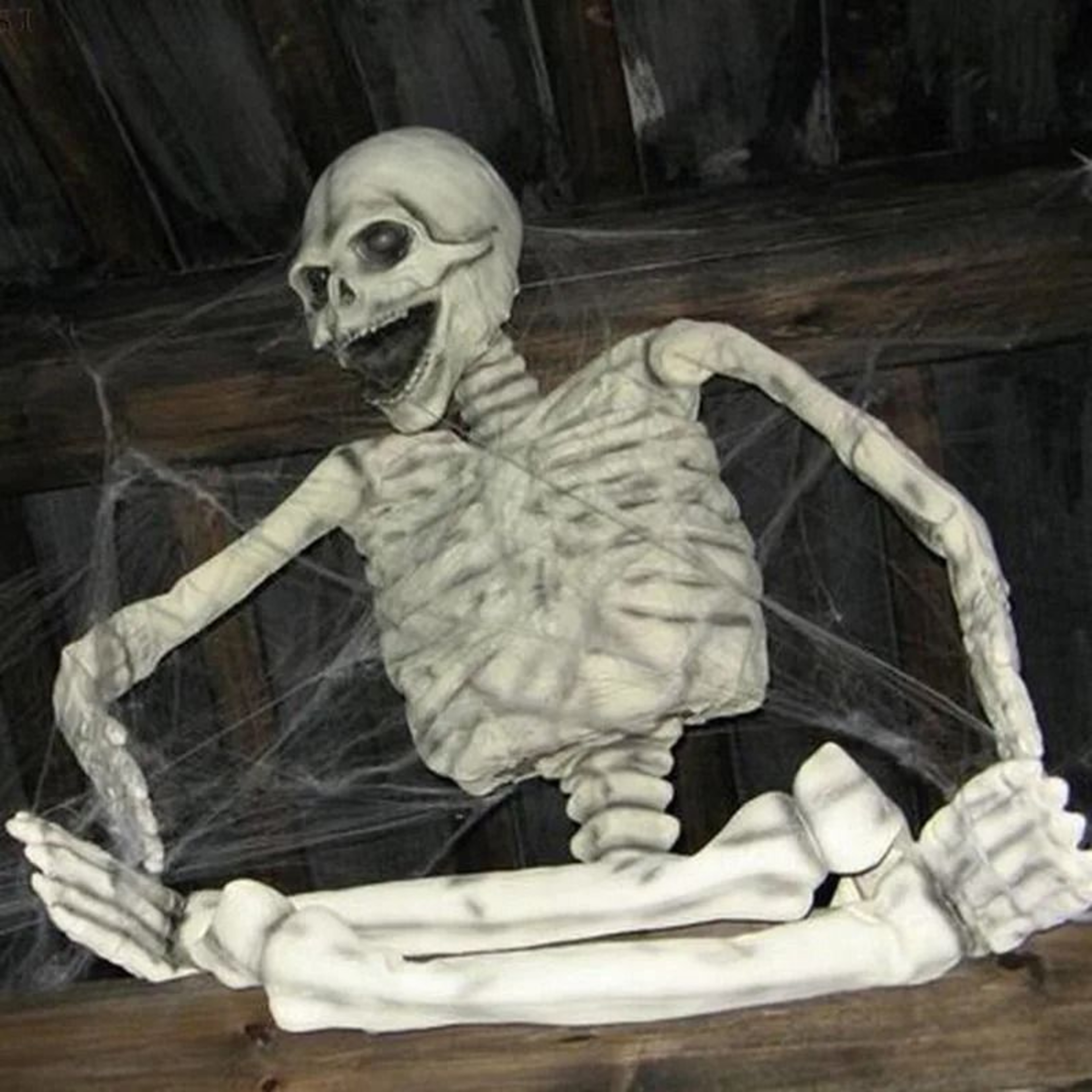 Stretchy White Cobweb Haunted House Decoration 0