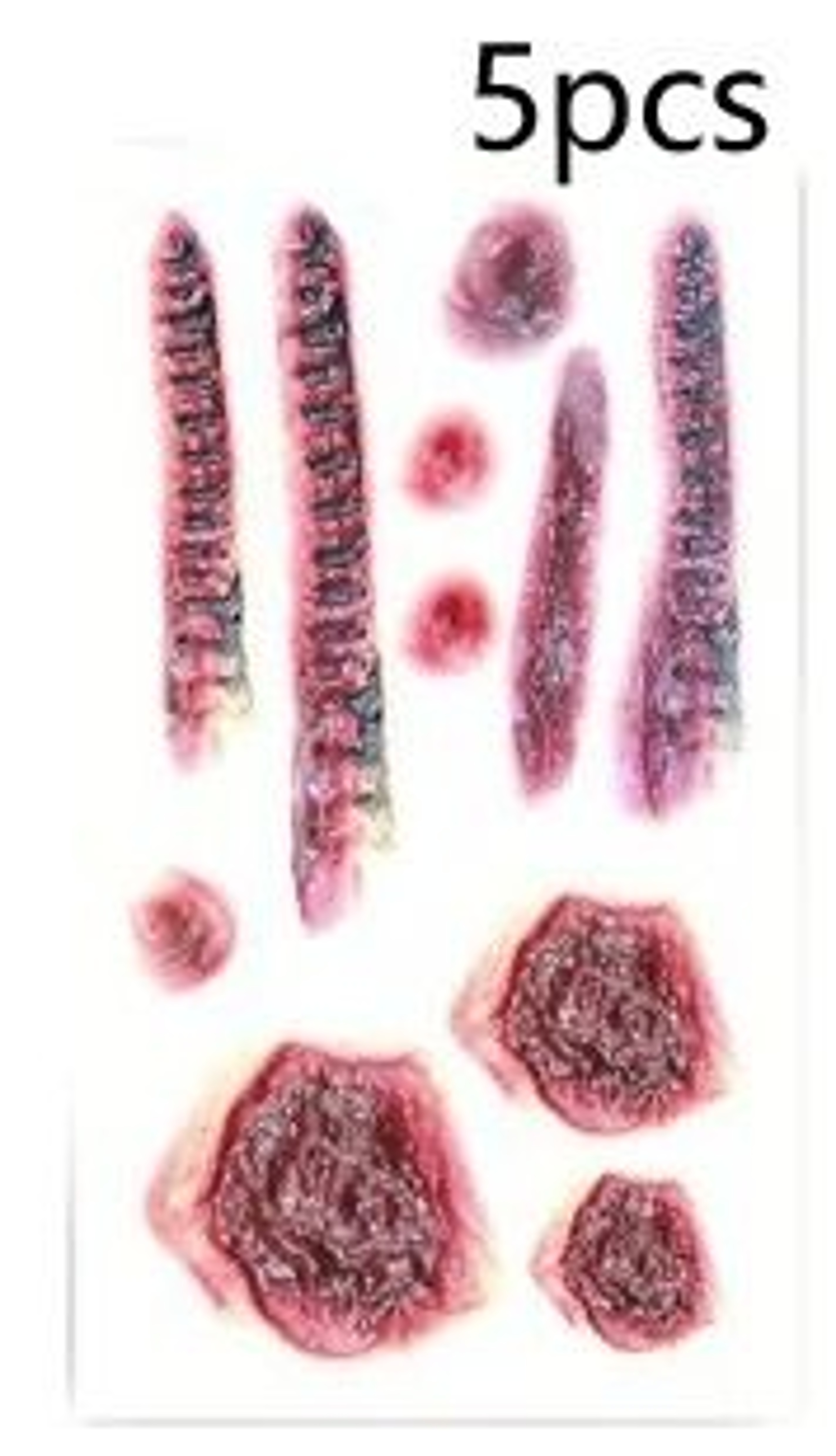 Realistic Bloody Scar Temporary Tattoos 1