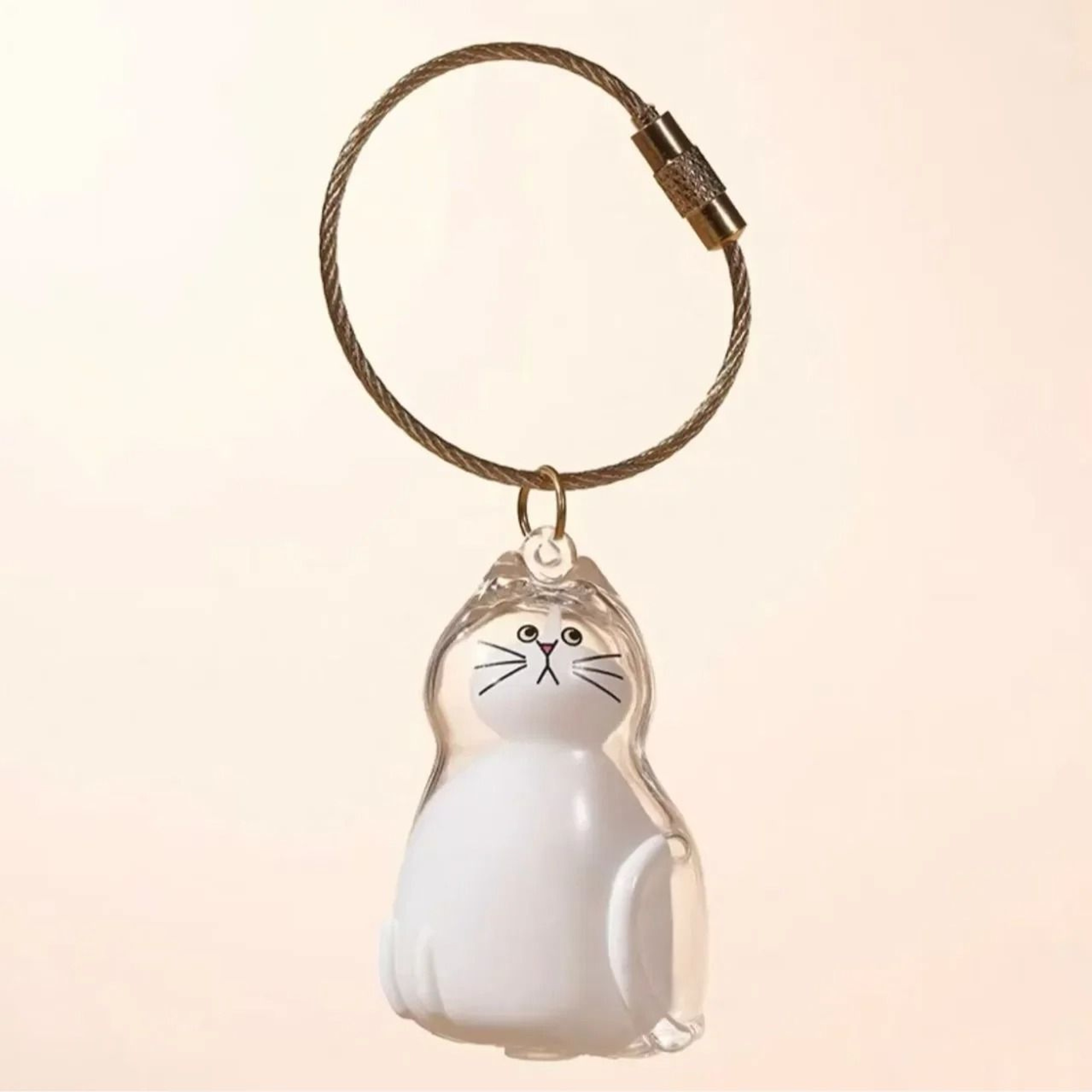 Transparent Pet Hair Memorial Keychain 5