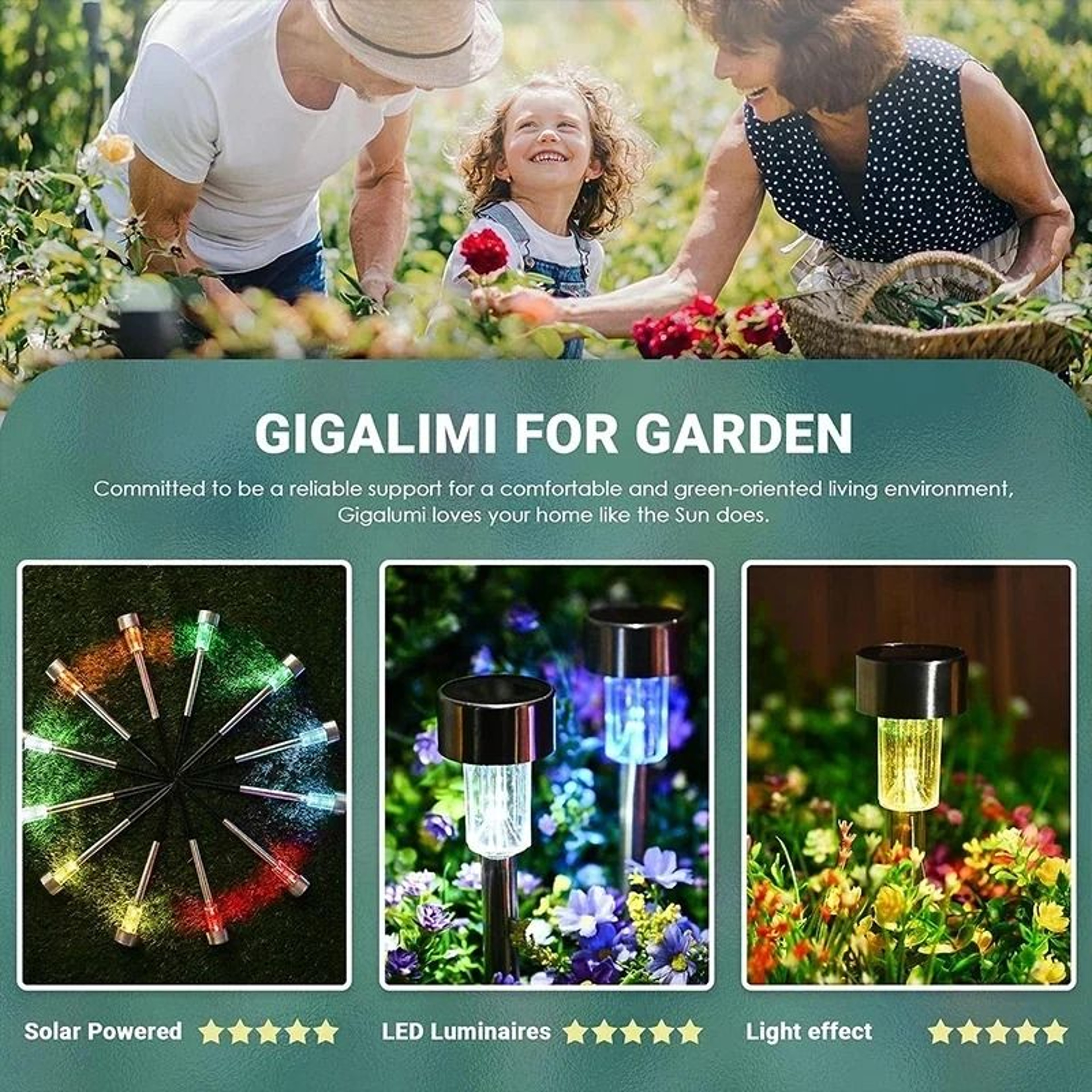 Solar Garden Lantern Pathway Lights Brighten Yards Lawns Walkways Every Night 10