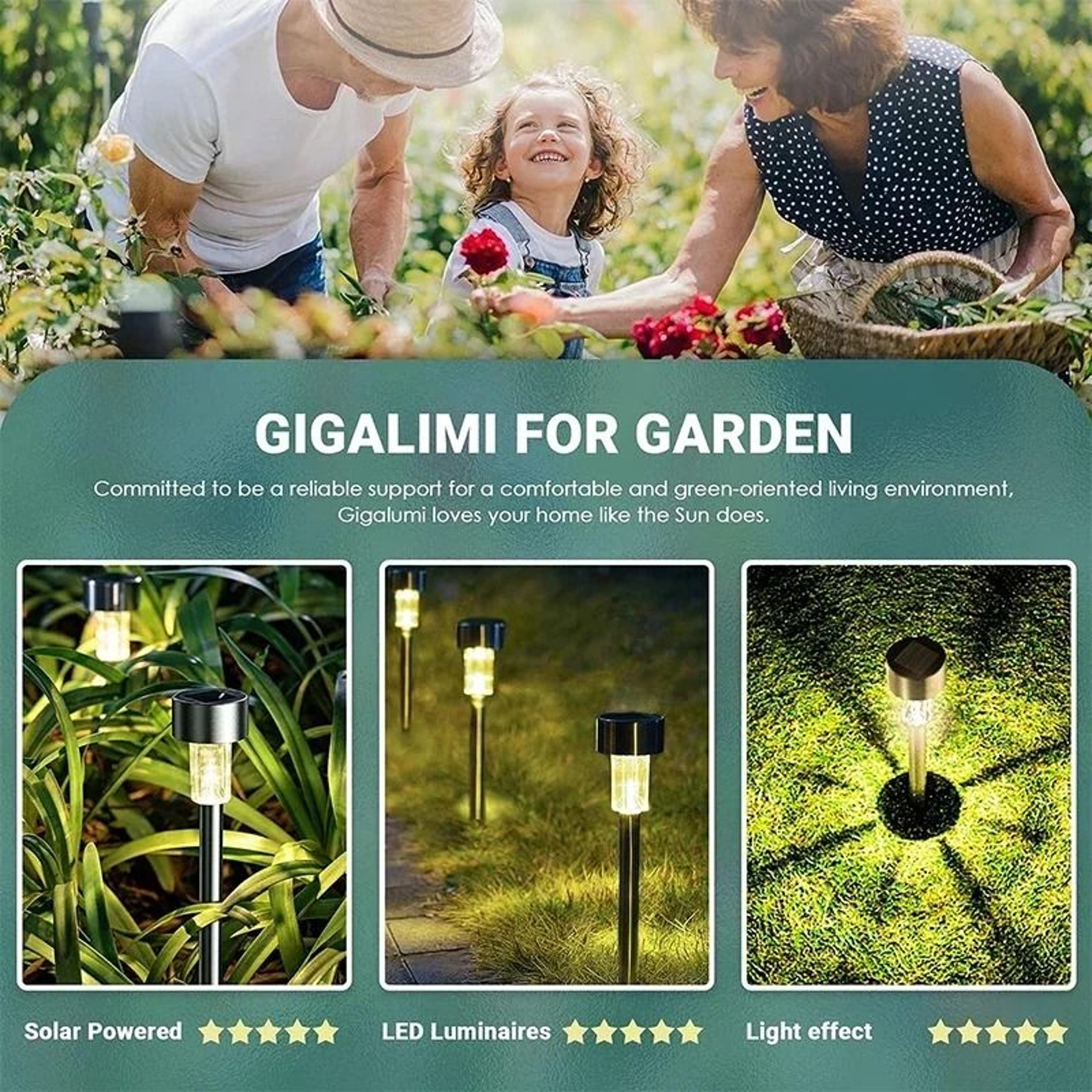 Solar Garden Lantern Pathway Lights Brighten Yards Lawns Walkways Every Night 9