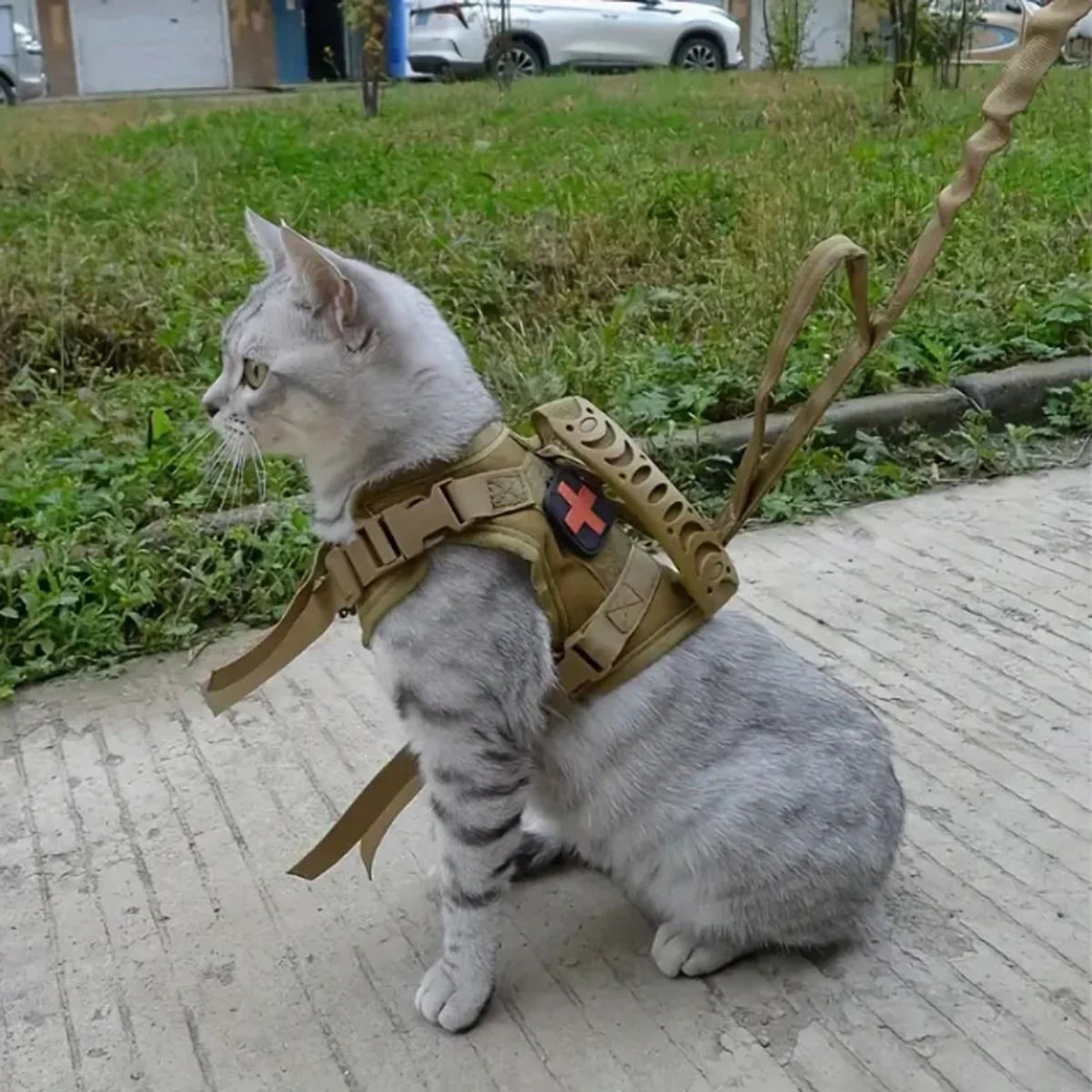 Adjustable Tactical Cat Harness Vest With Secure Leash For Outdoor Walking Adventures 4