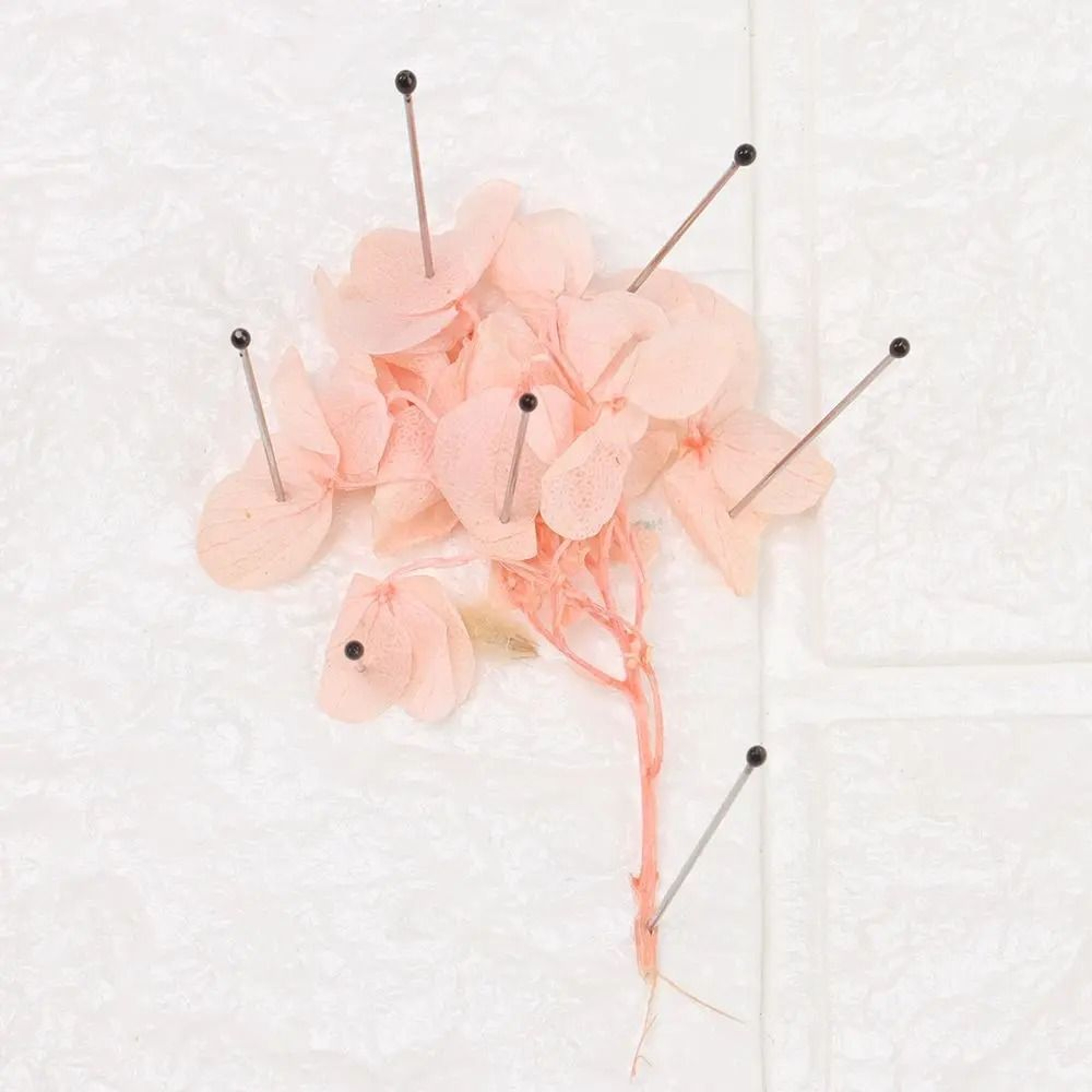 One Hundred Piece Stainless Steel Insect Specimen Pin Set 10