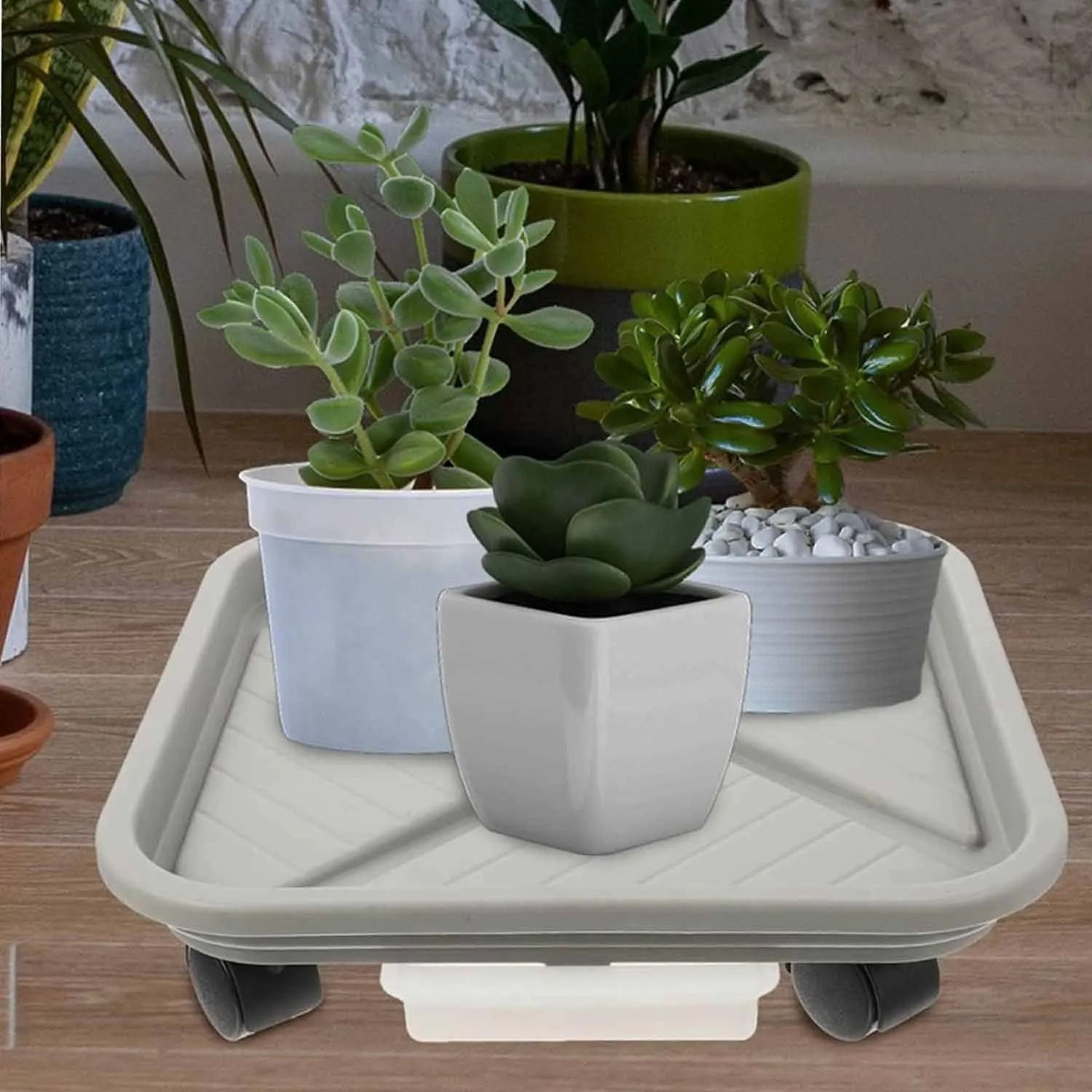 Square Rolling Plant Caddy With Drainage Tray 8