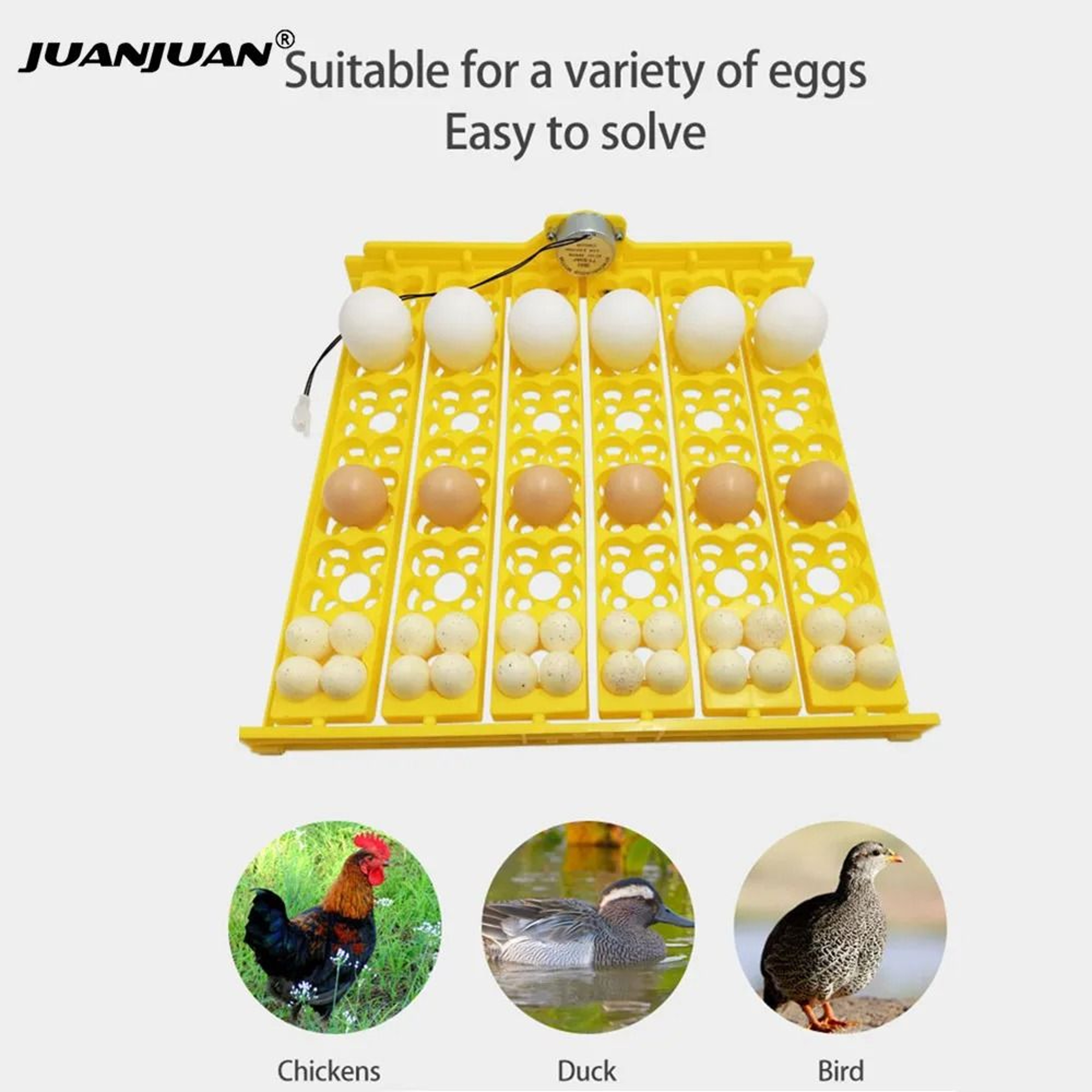 HatchEase 24Slot Automatic Egg Turner Tray For Poultry Incubators 0