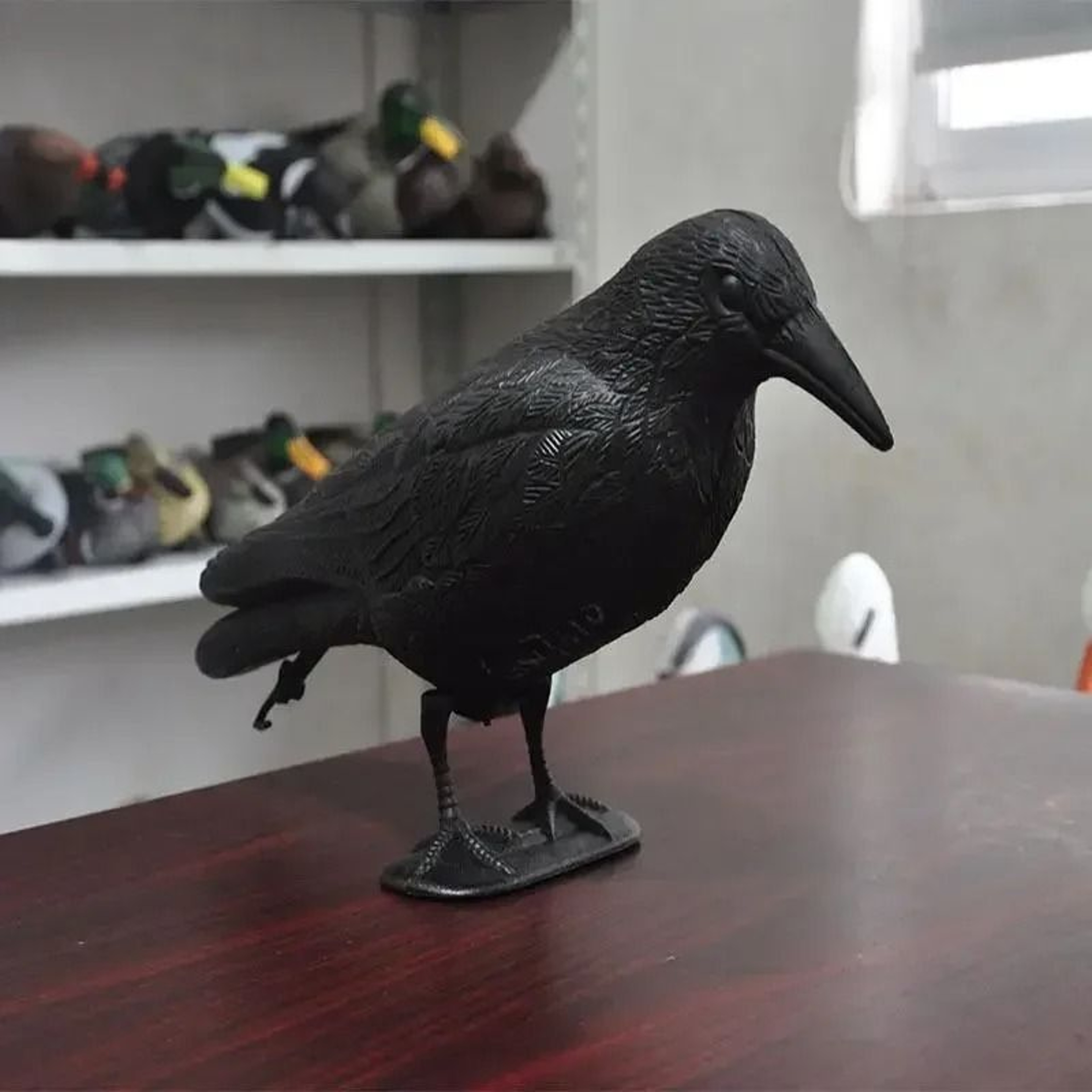 Realistic Black Crow Bird Repellent Outdoor Raven Decoy For Garden And Pigeon Deterrence 0