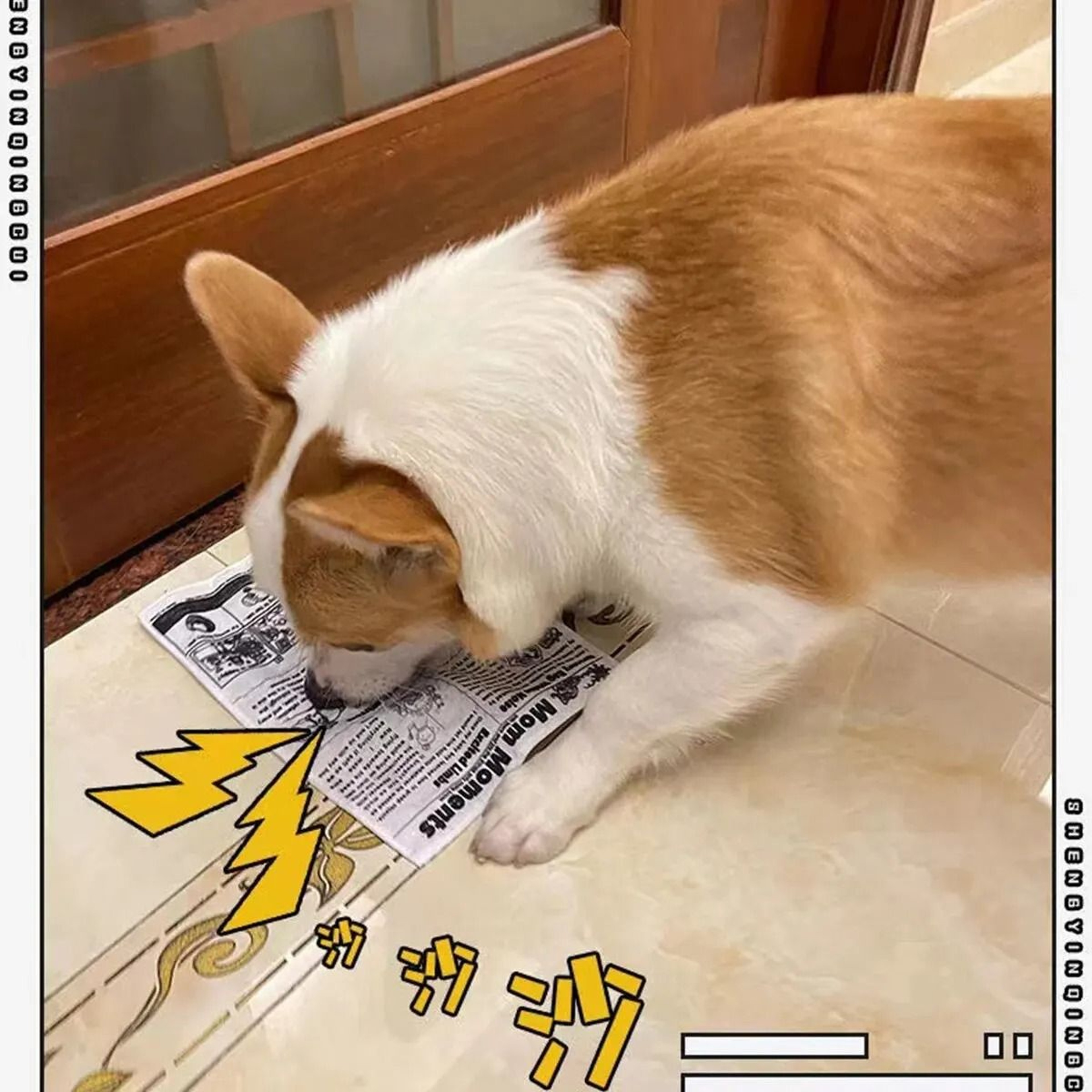 Squeaky Crinkle Dog Toy Playing Card For Interactive Chewing Fun 4