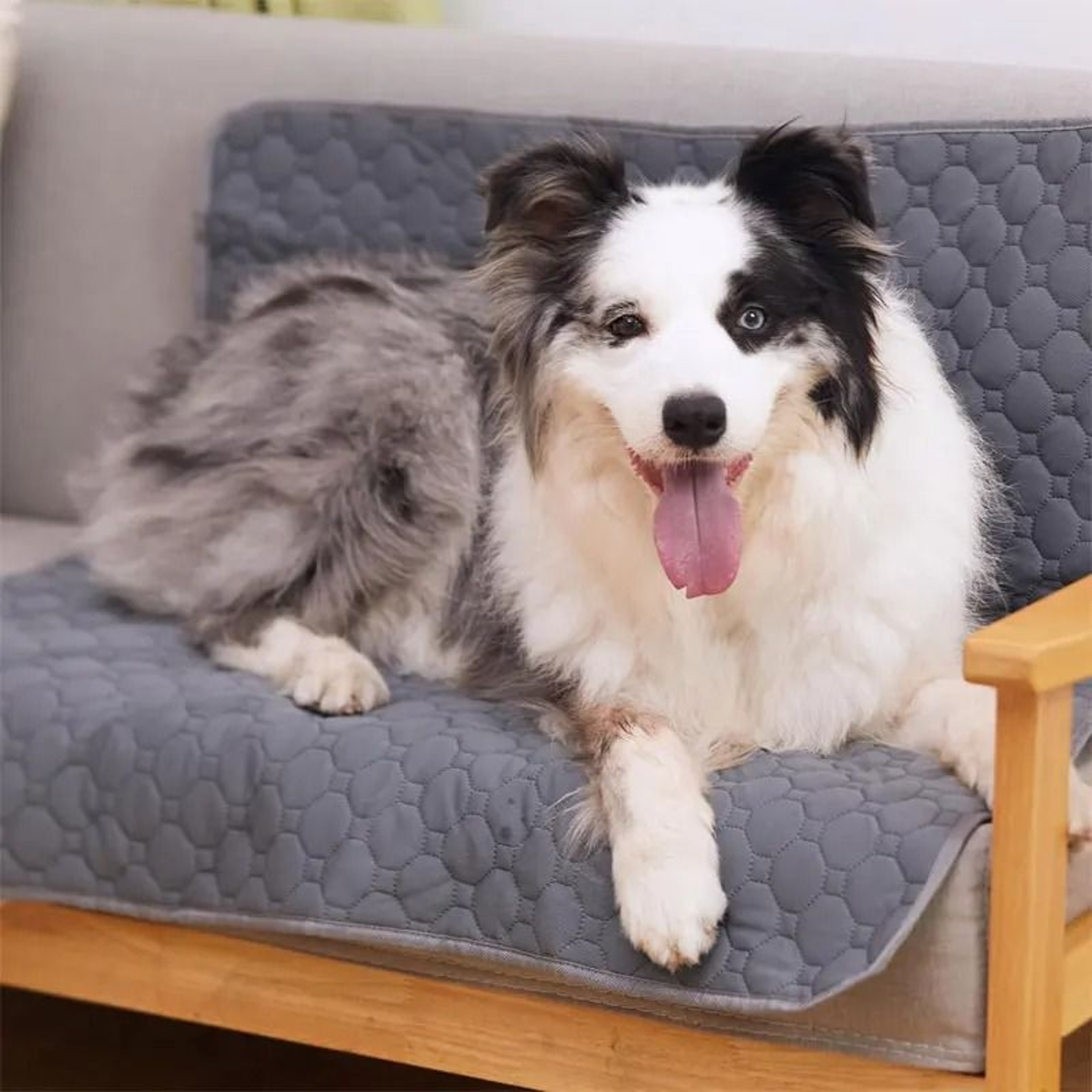 Reusable Washable Dog Pee Pad Waterproof Absorbent Pet Training Mat 2
