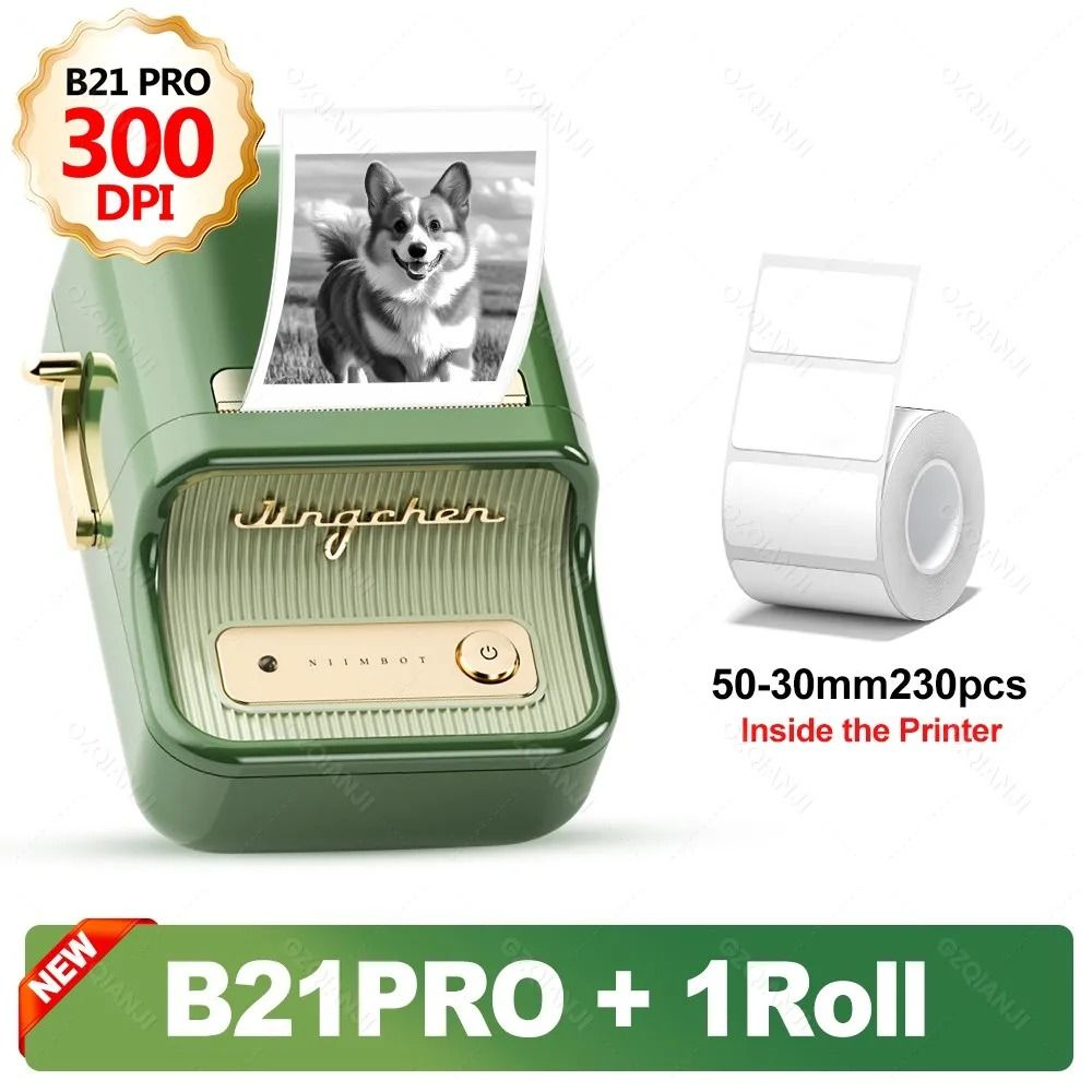 B21 Pro 300 DPI Bluetooth Label Printer  Dual Color Wireless Sticker Maker USB 5