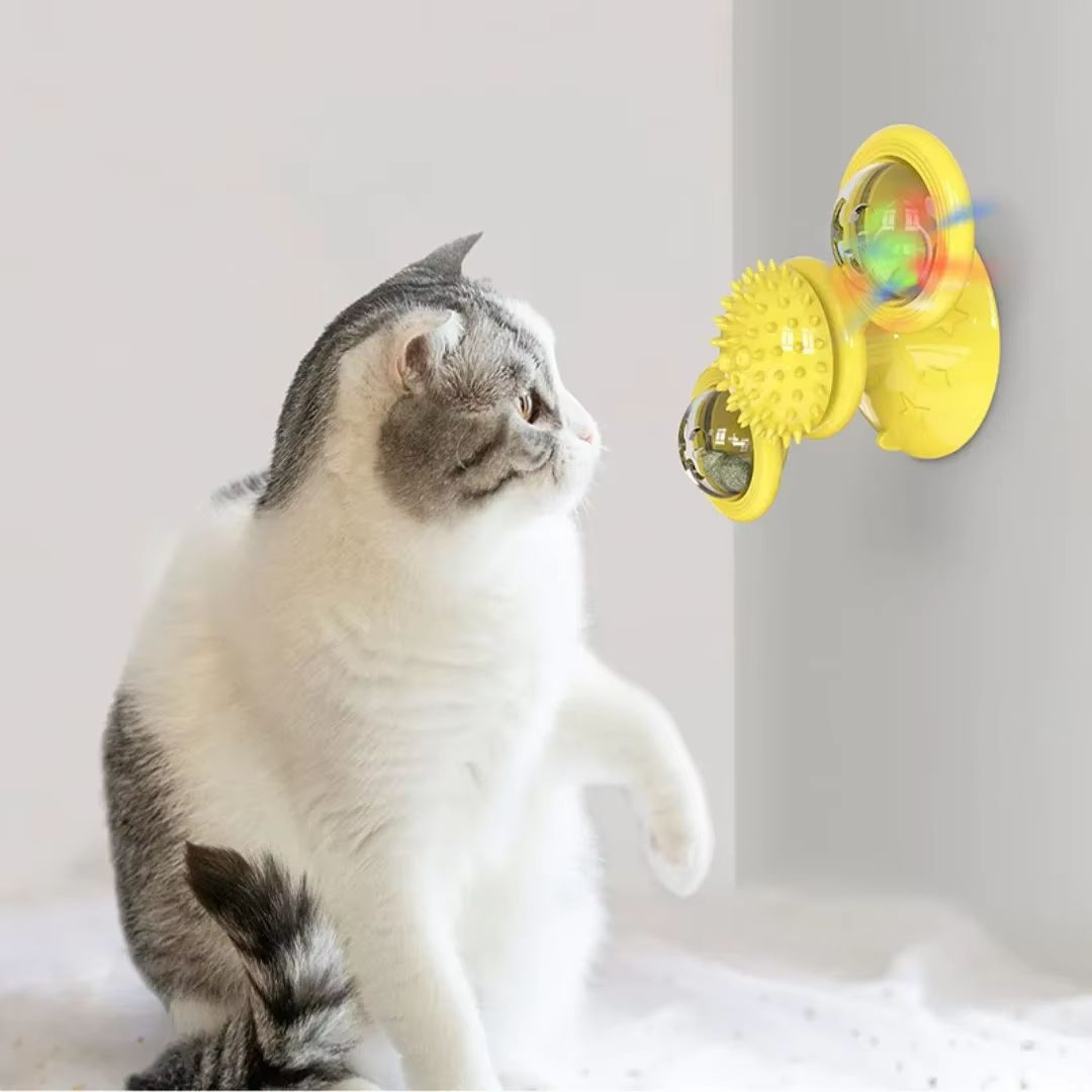 Windmill Interactive Cat Toy With Suction Cup Catnip Ball Toy  ToothCleaning Brush 0