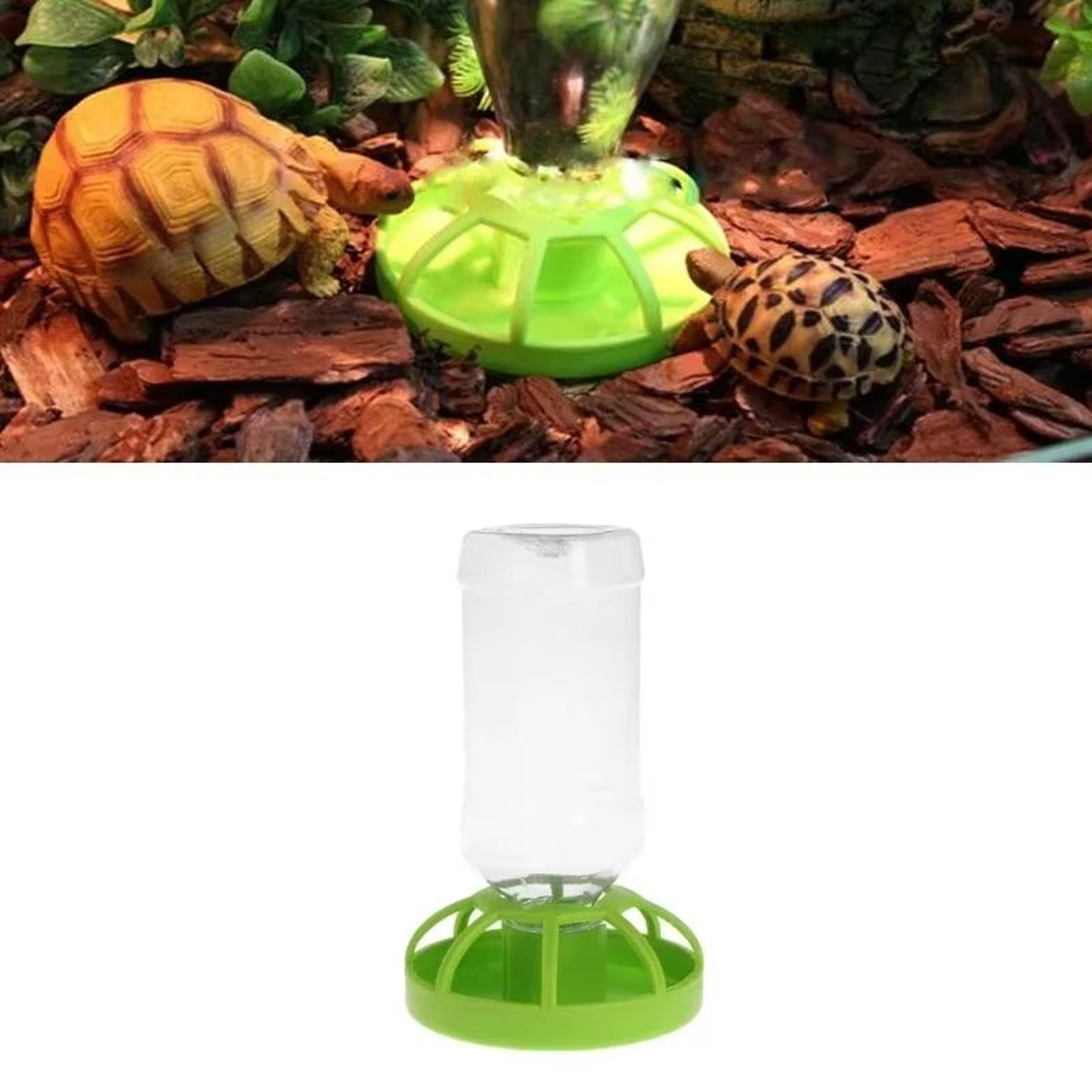 Lotus Leaf Reptile Water Dispenser With Lizard Water Bottle And Feeding Dish 1