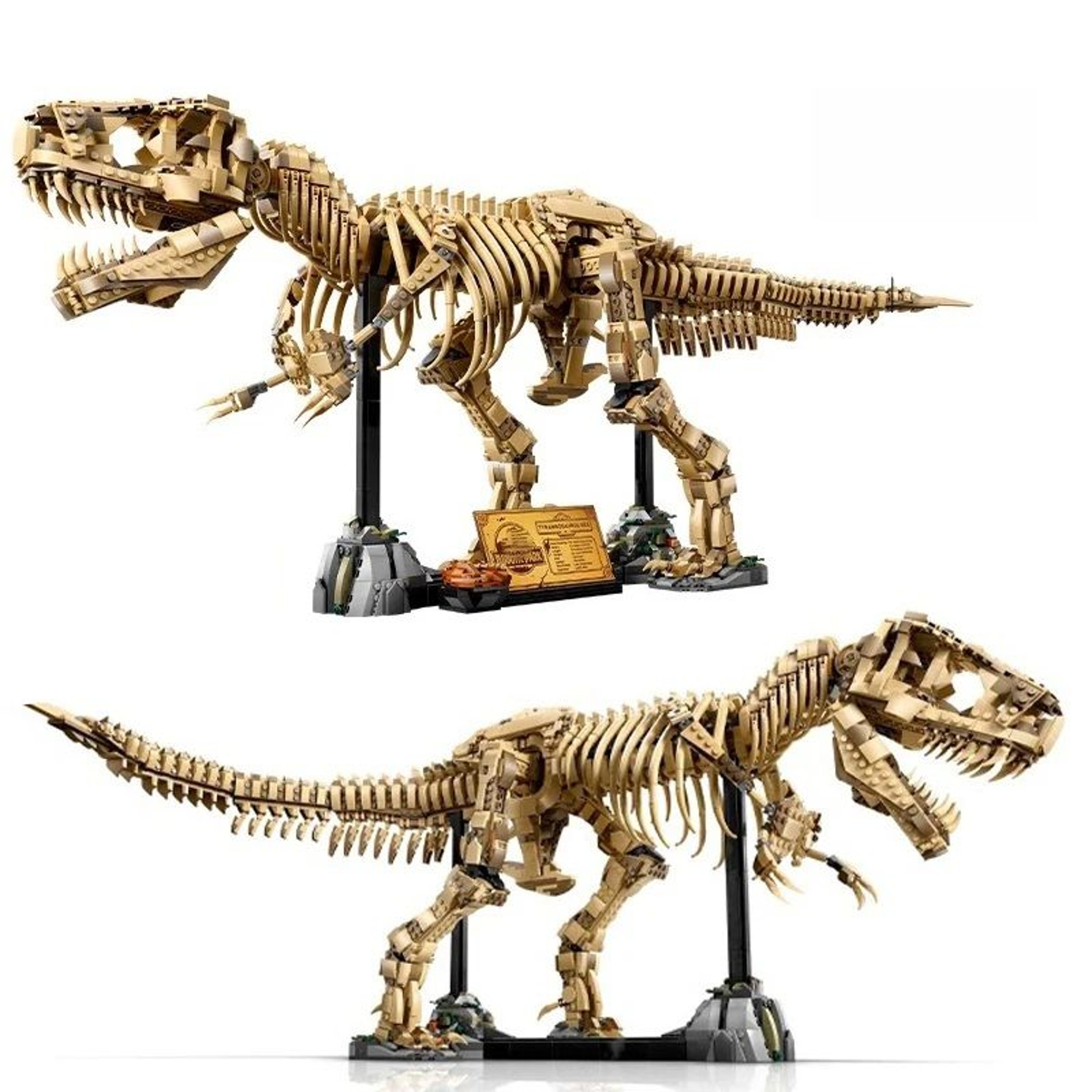 TRex Fossil Dinosaur Building Set  Creative Tyrannosaurus Rex Construction Toy For Kids 0