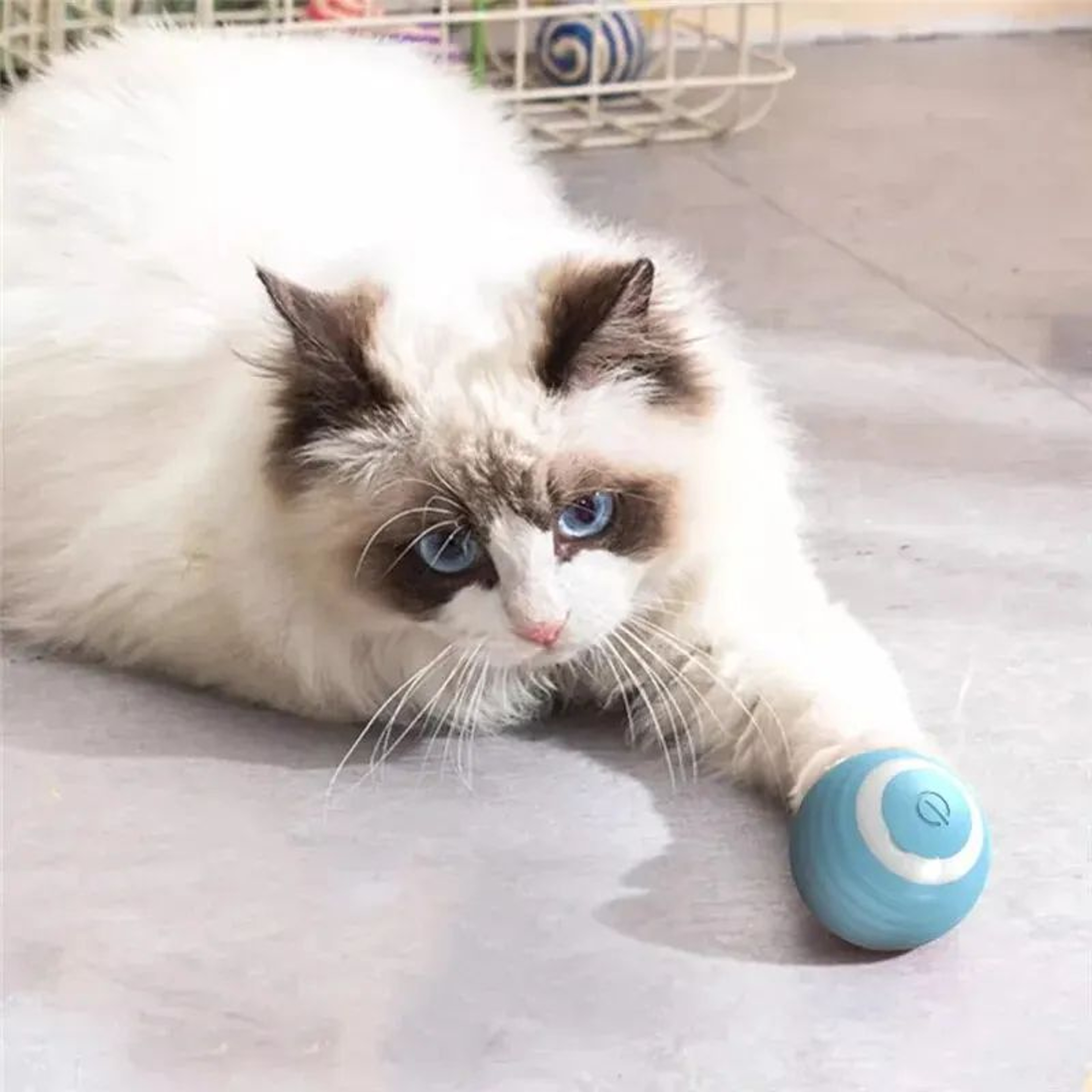 Smart Interactive Cat Ball Toy  Automatic Rolling Electronic Cat Toy For Active Indoor Play 1