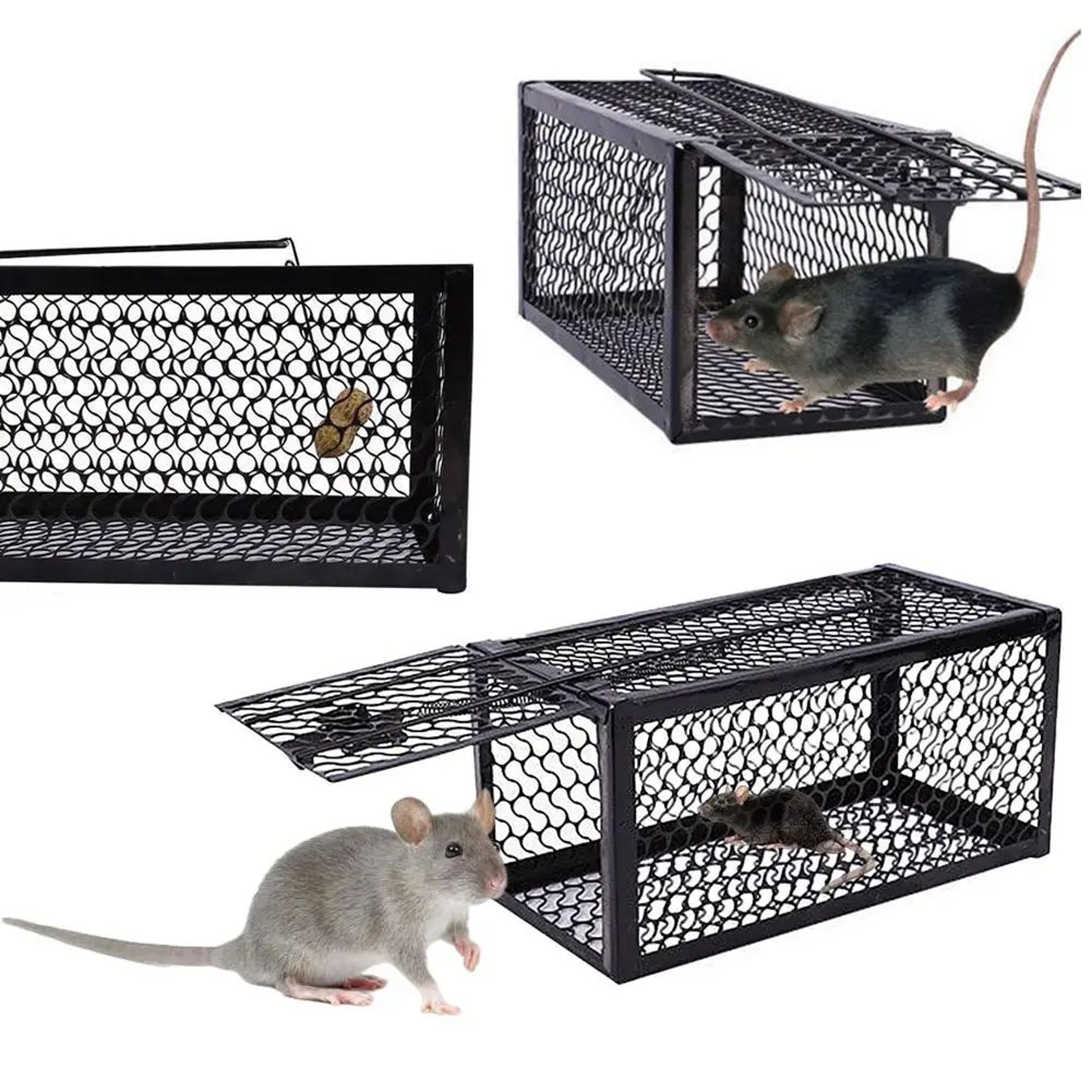 SafeHome Mouse Trap  HighAdhesion Sticky Mouse Board For Reliable Indoor Pest Control 3