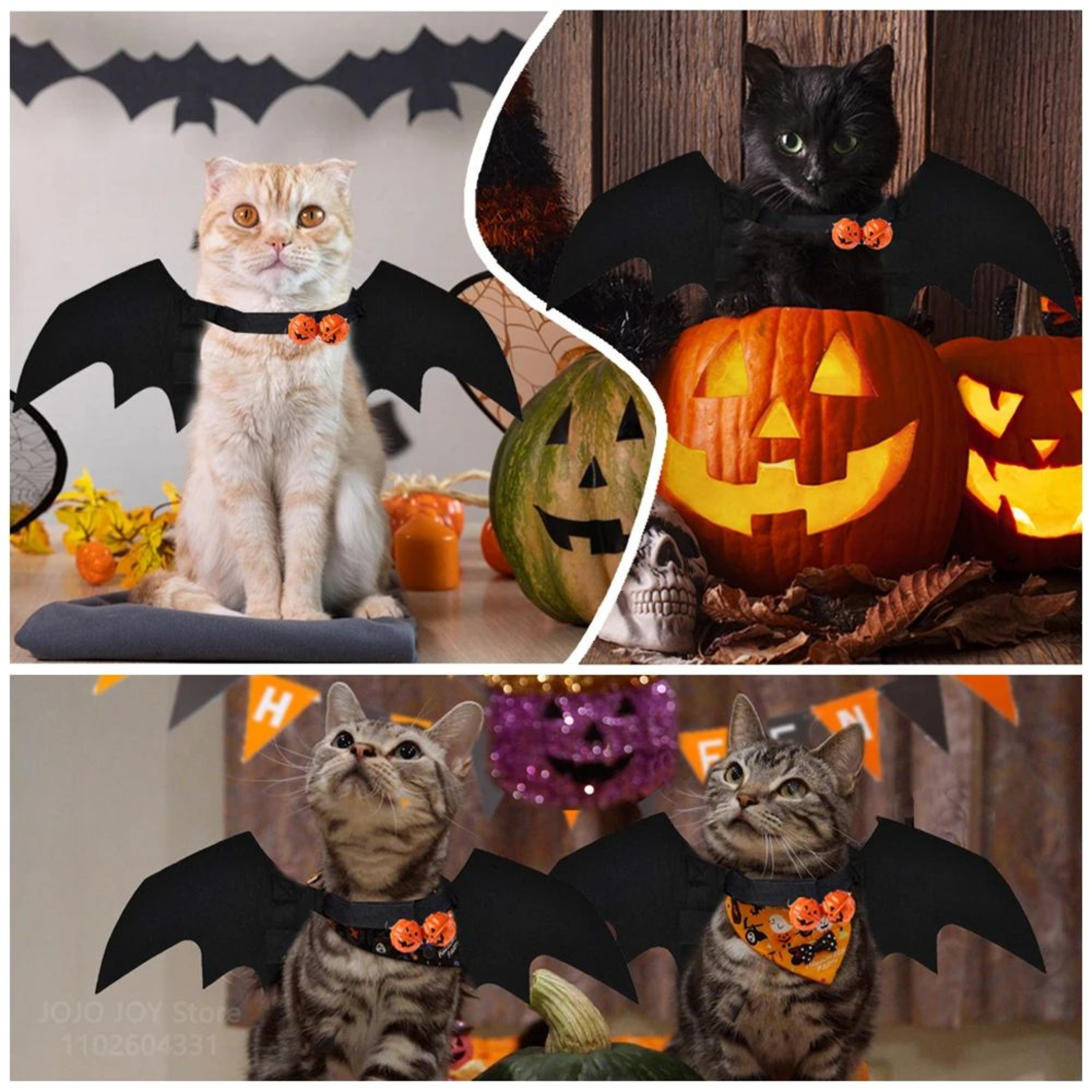 Spooky Wings Pet Costume  Halloween Pet Costume With Bat Wings  Spider Harness For Cats And Dogs 3