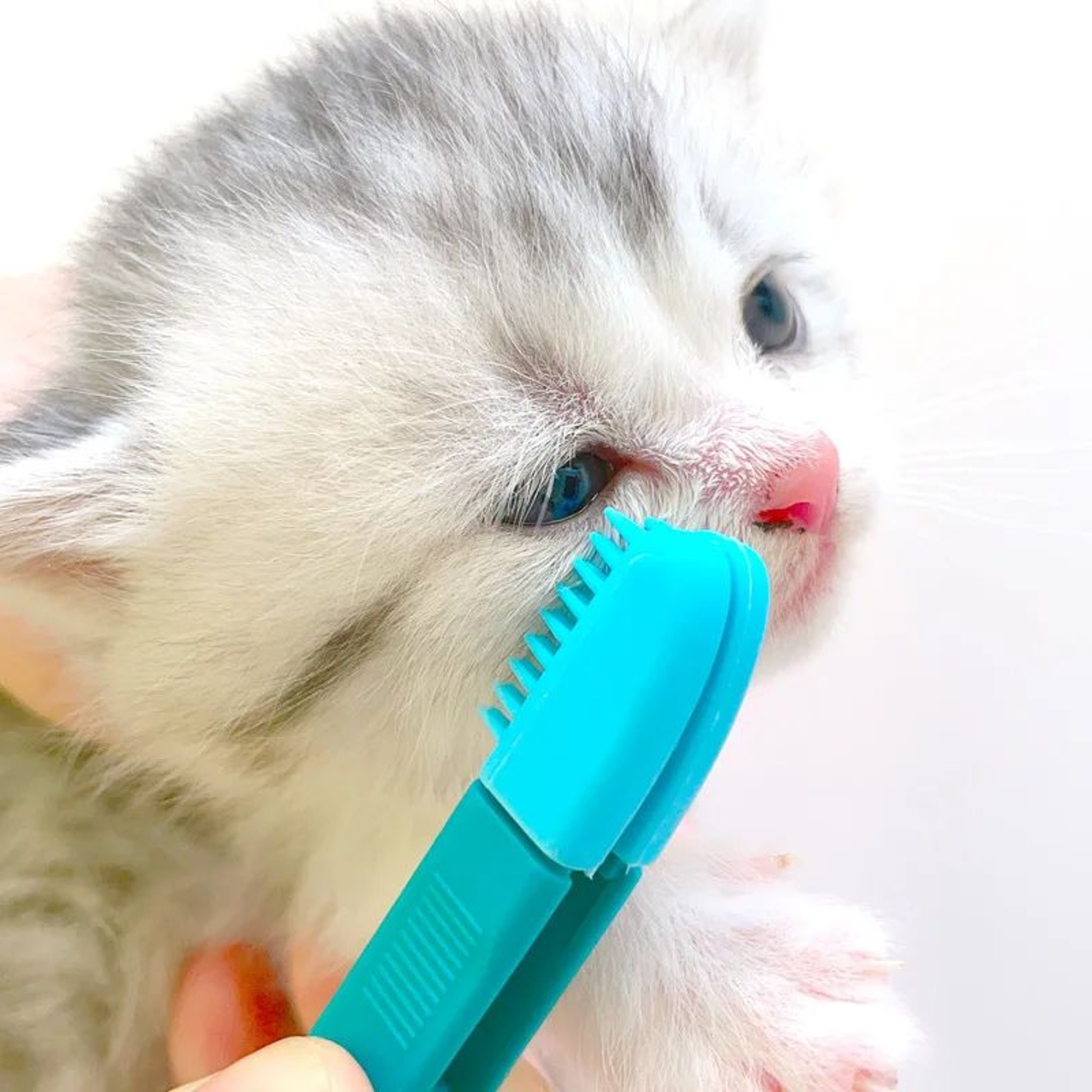 ClearView Gentle Care Brush  Pet Eye Cleaning Tool  Soft Tear Stain Remover For Cats And Dogs 0