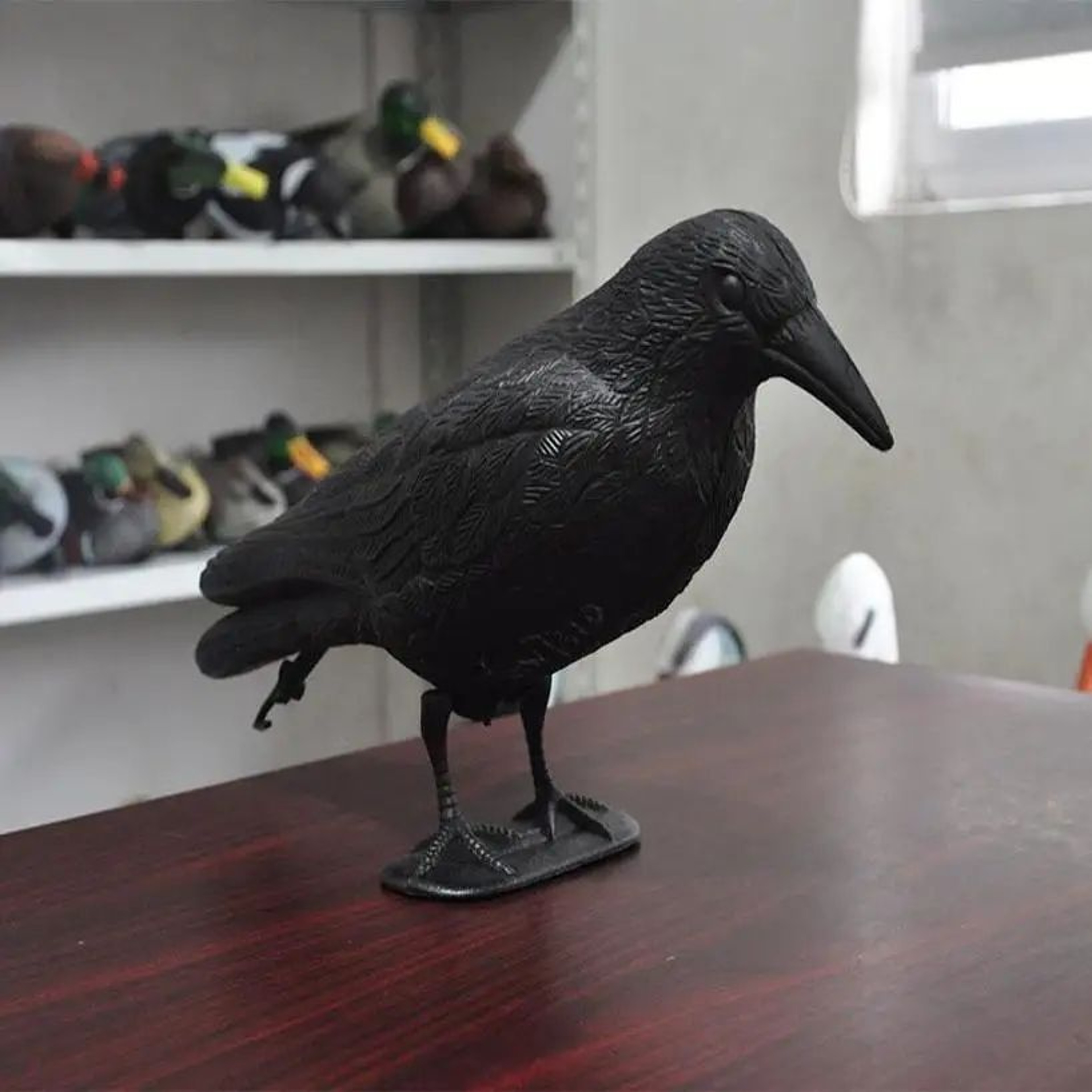 Realistic Black Crow Bird Repellent  Outdoor Garden Bird Deterrent Decor 0