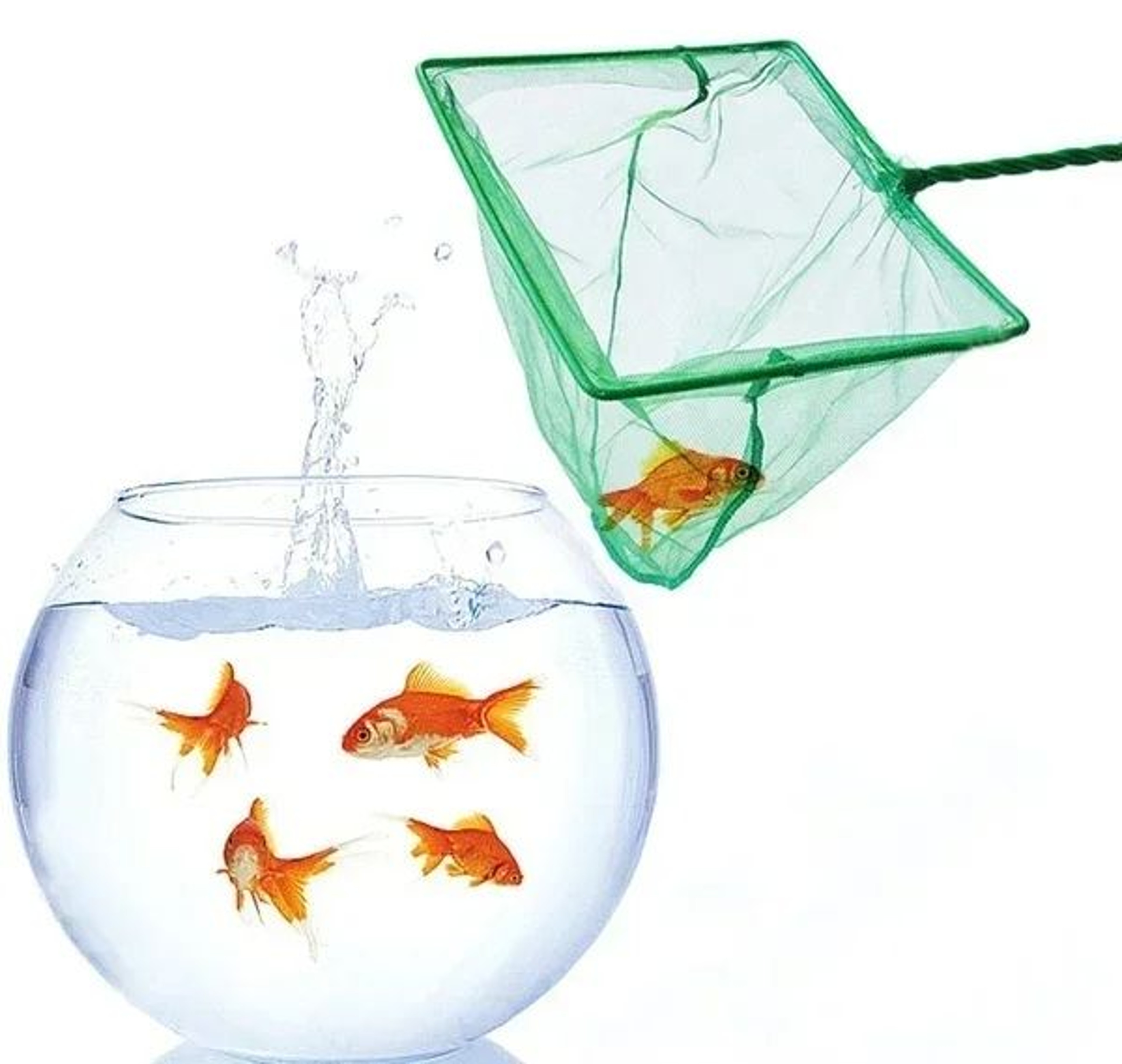 Long Handle Aquarium Fish Net Square Landing Net For Tanks And Ponds 2