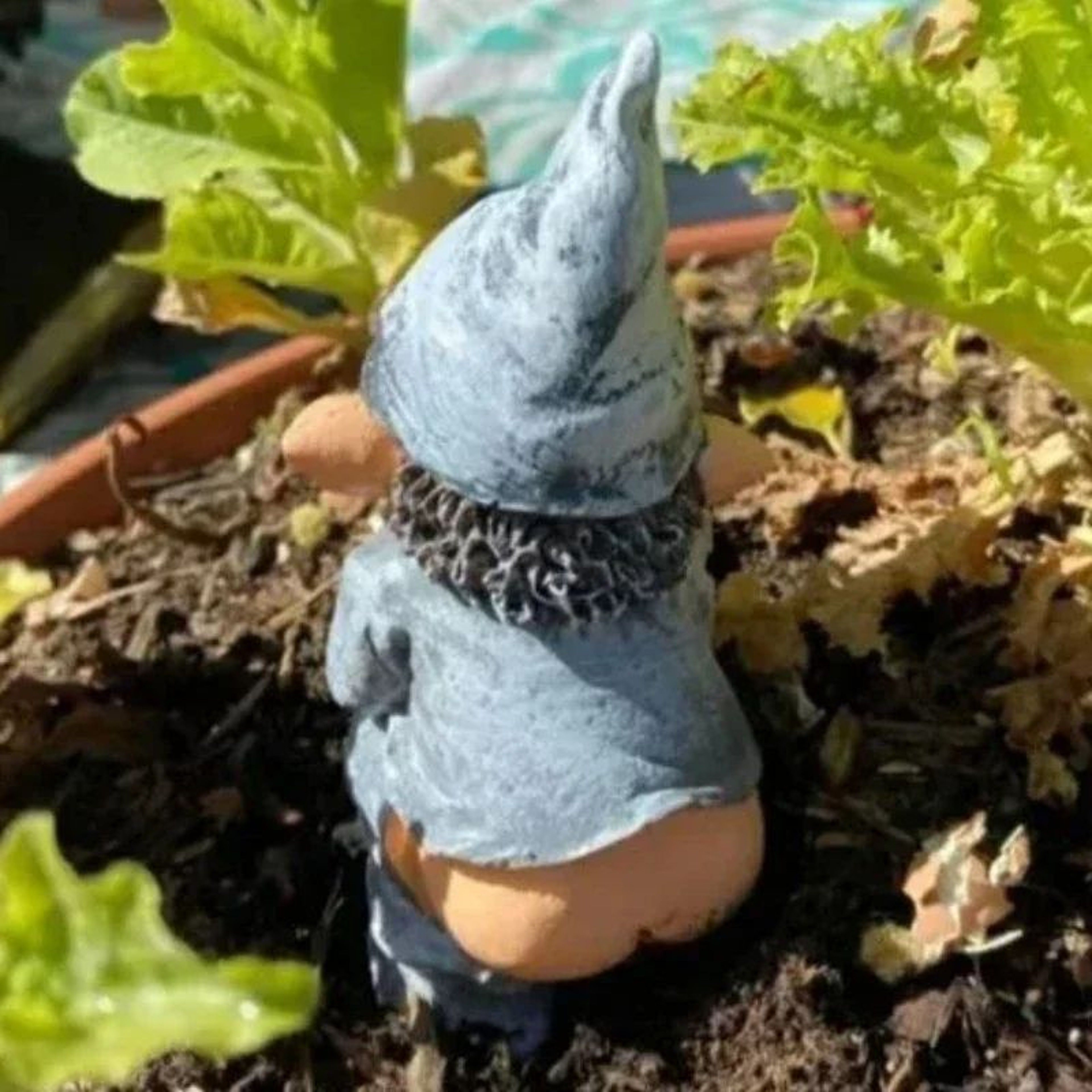 Cheeky Resin Garden Gnome Statue  Playful Garden Gnome Statue For Lawn  Patio Decor 4