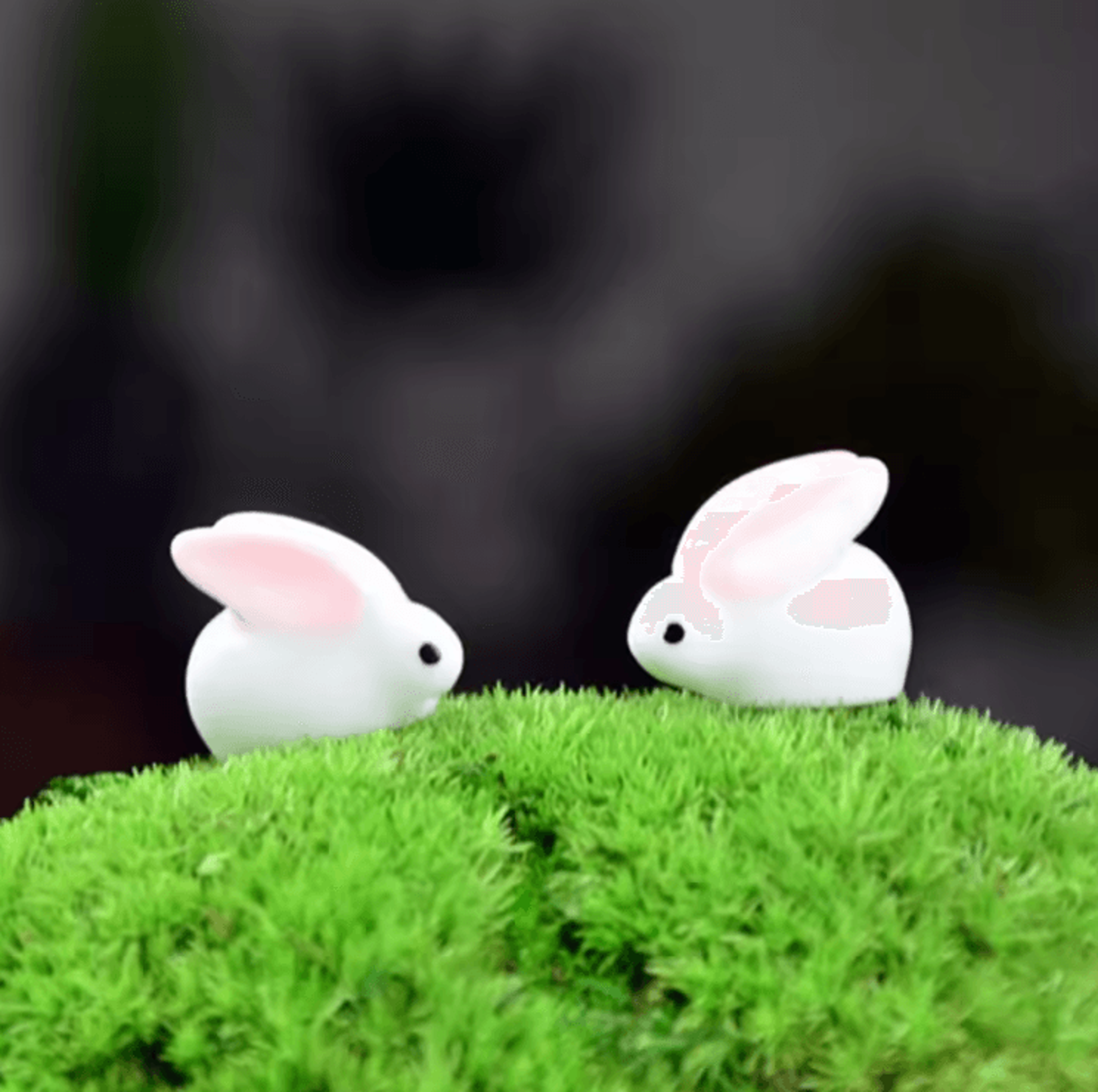 Mini Animal Figurines Set  Cute Resin Fairy Garden  Dollhouse Decor Accessories 9