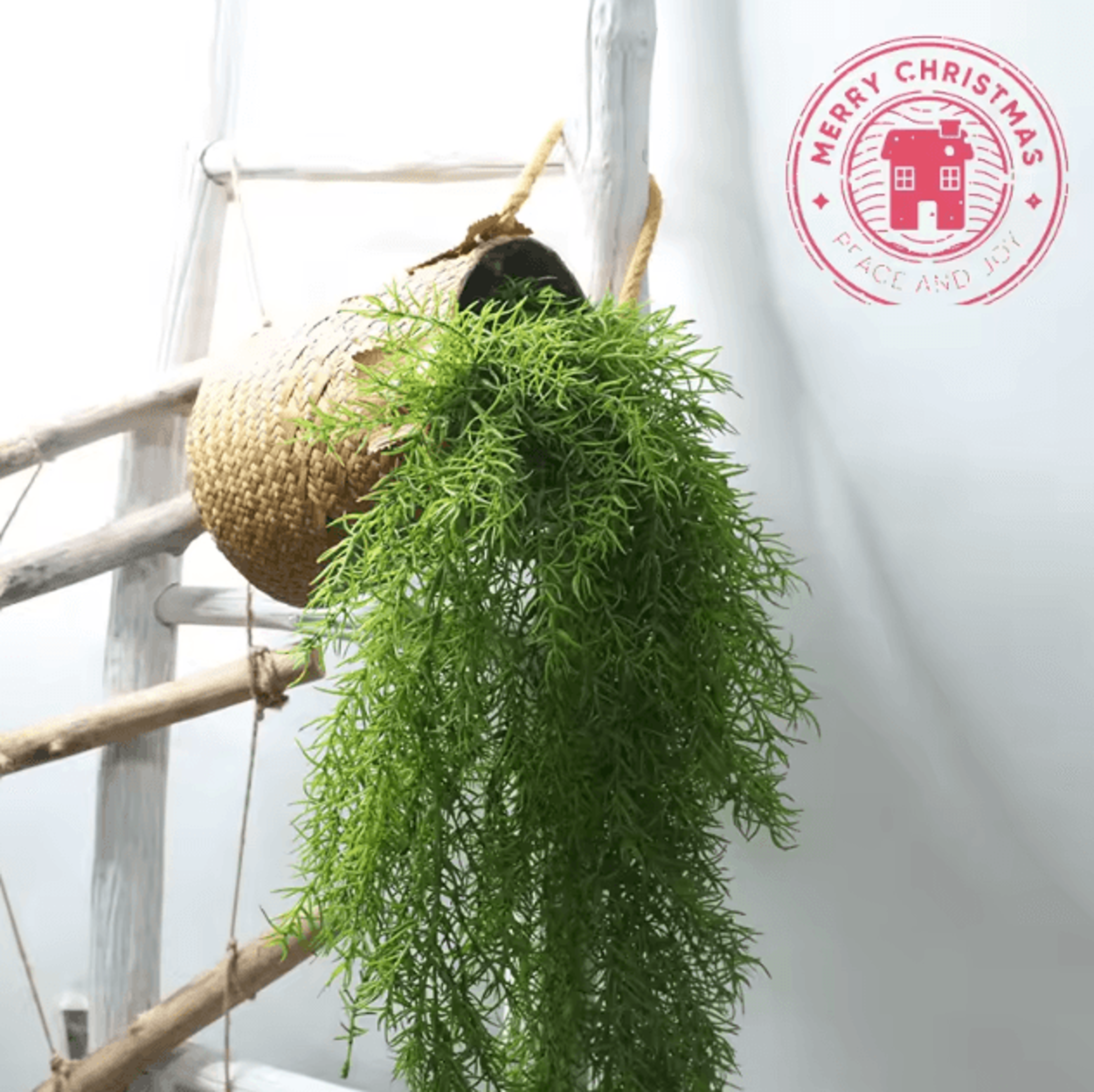 105cm Real Touch Pine Needle Hanging Vine  Lifelike Artificial Green Wall Decor 1