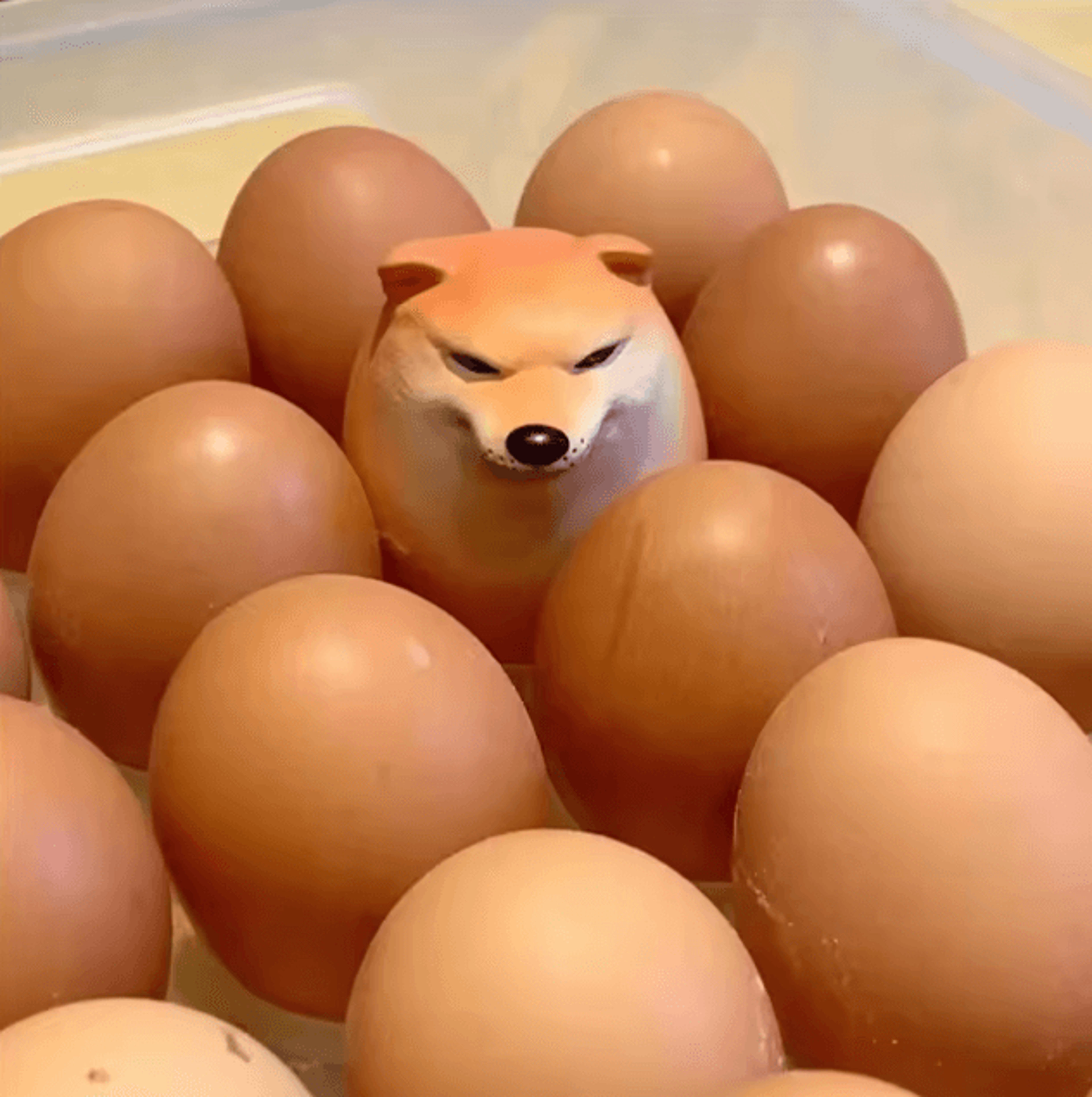 Shibako Dog Egg Creative Shiba Inu Realistic Egg Shape Desk Decor Dog  Egg Union Decorations For Ho 0