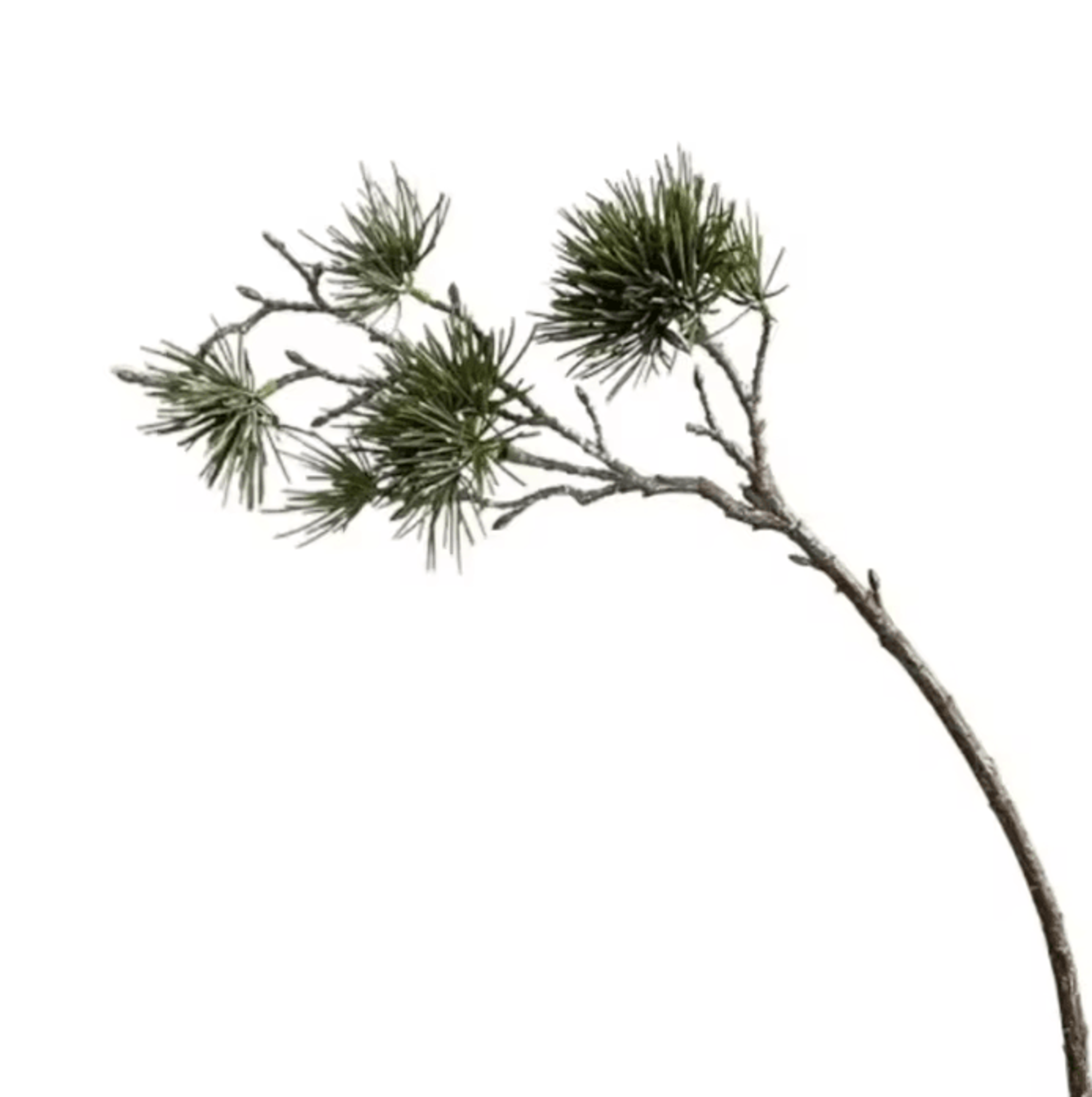 Luxury Realistic Artificial Pine Branch  Elegant Evergreen Decor Stem 2