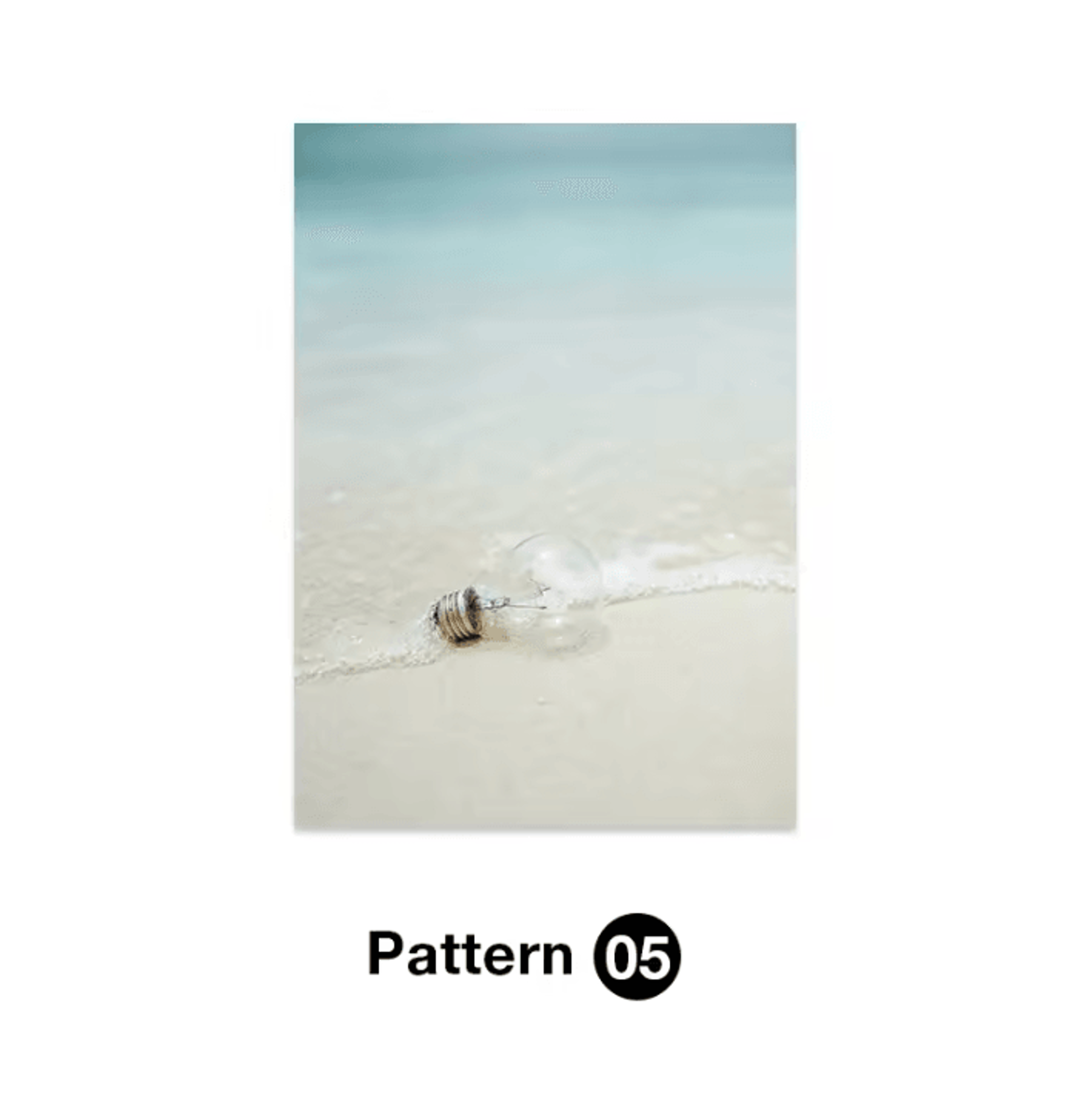 Tropical Ocean Shell Canvas Wall Art  Summer Beach Aesthetic Print 6