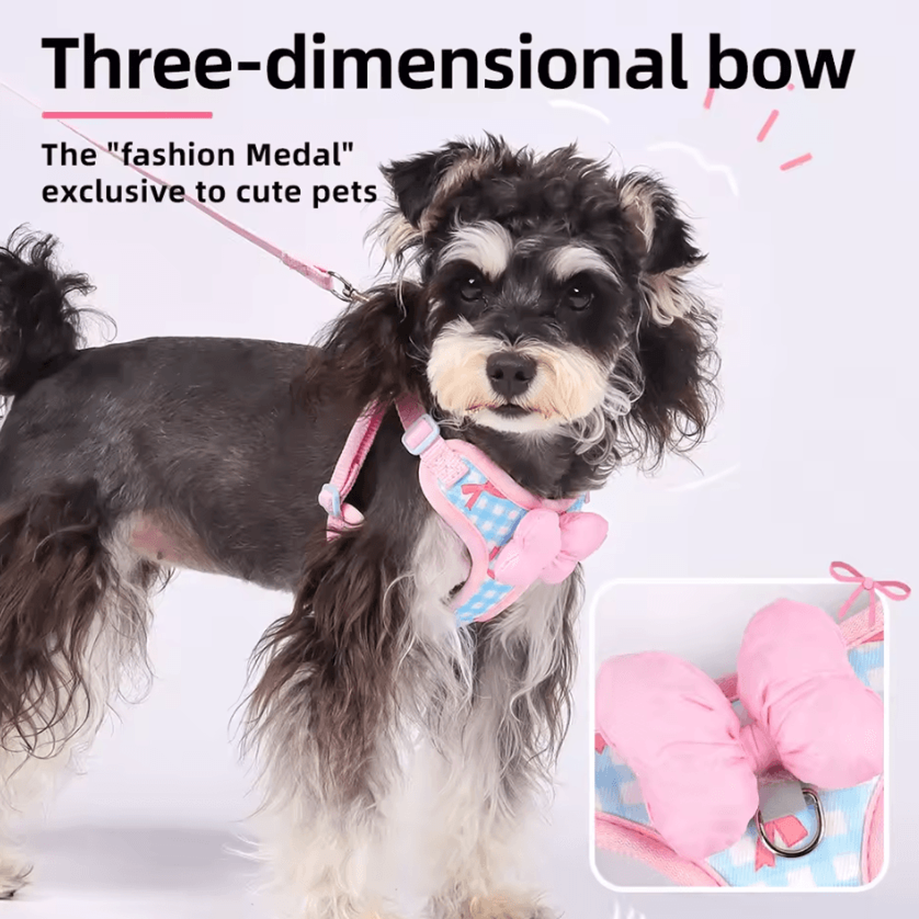 BowCharm Reflective Small Dog Harness Vest With Leash  Breathable  Secure Outdoor Fit 1