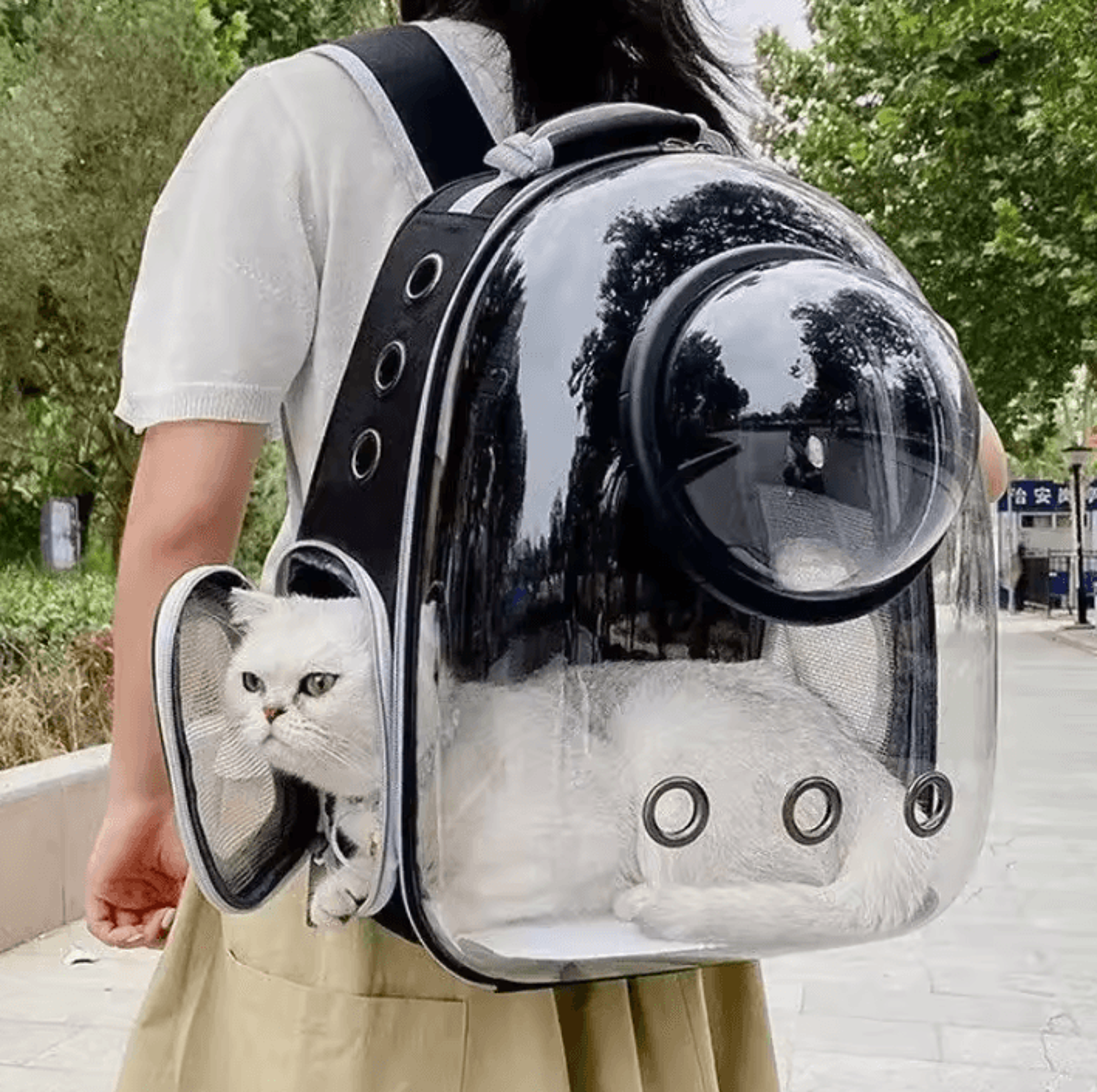 Transparent Bubble Cat Carrier Backpack For Travel  Outdoor Adventures 1