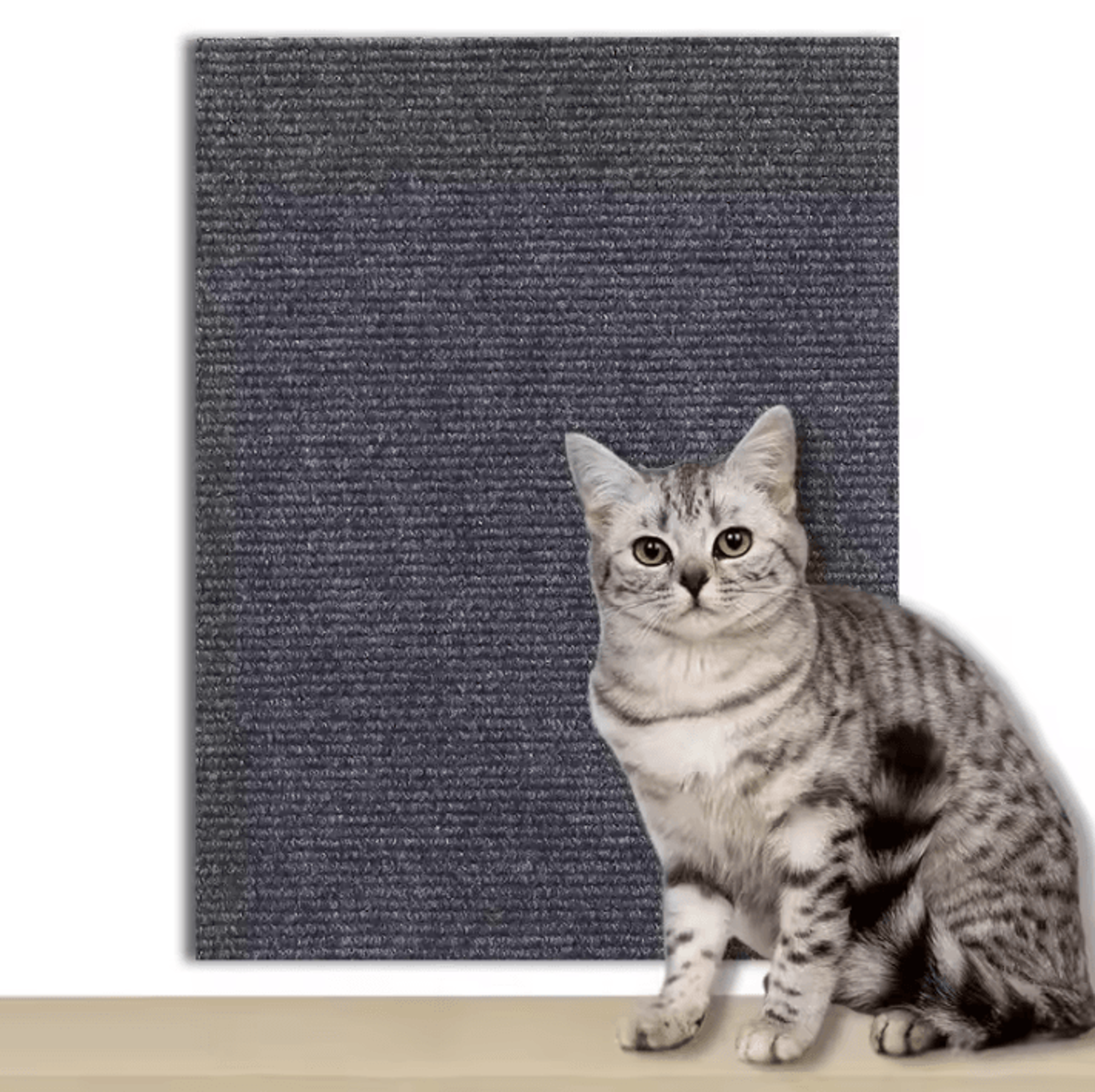 ScratchGuard SelfAdhesive Cat Scratcher Sofa Protector Mat 2