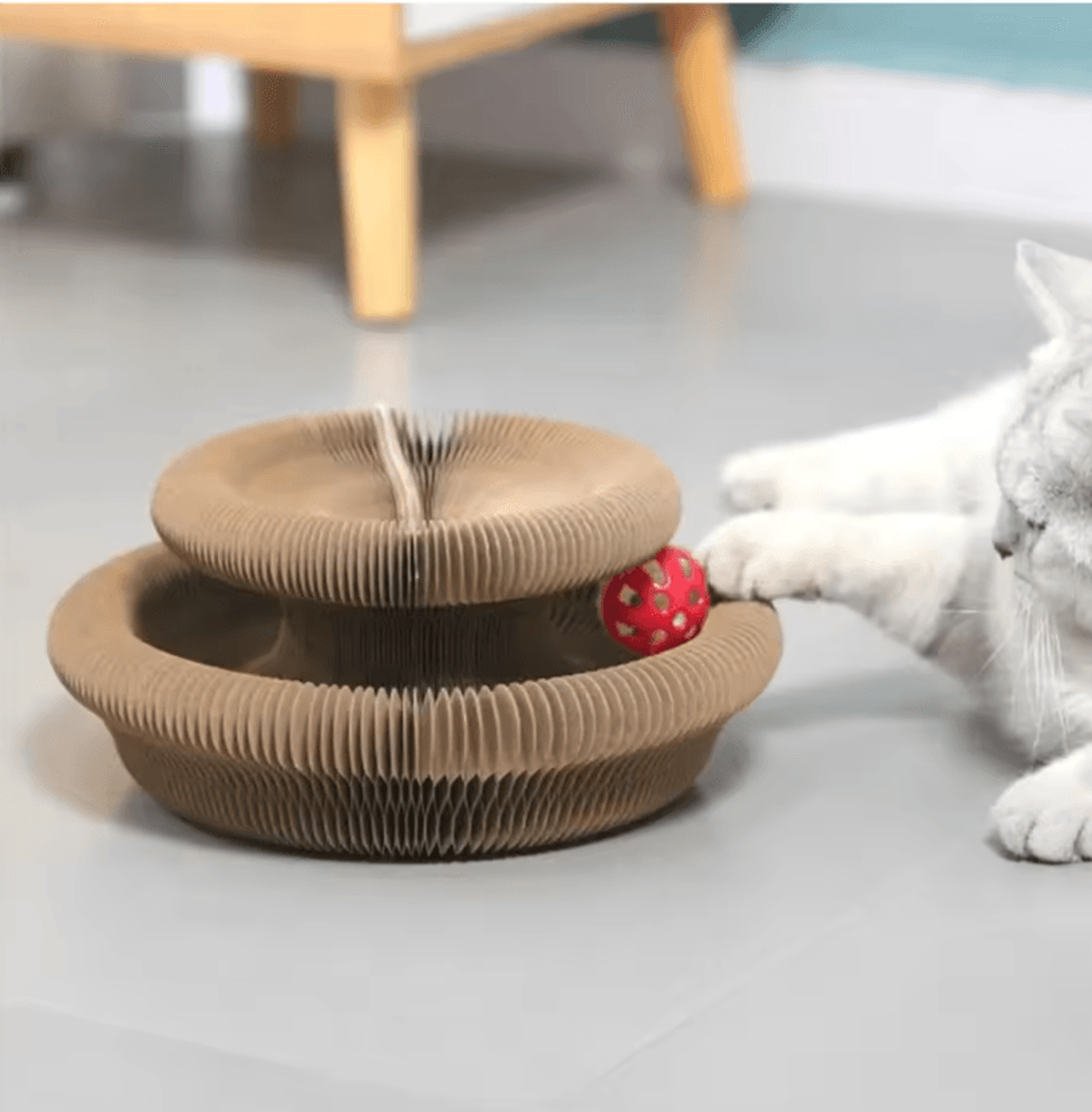 FlexiScratch Transformable Kitty Kurlz Cat Scratching Toy 1