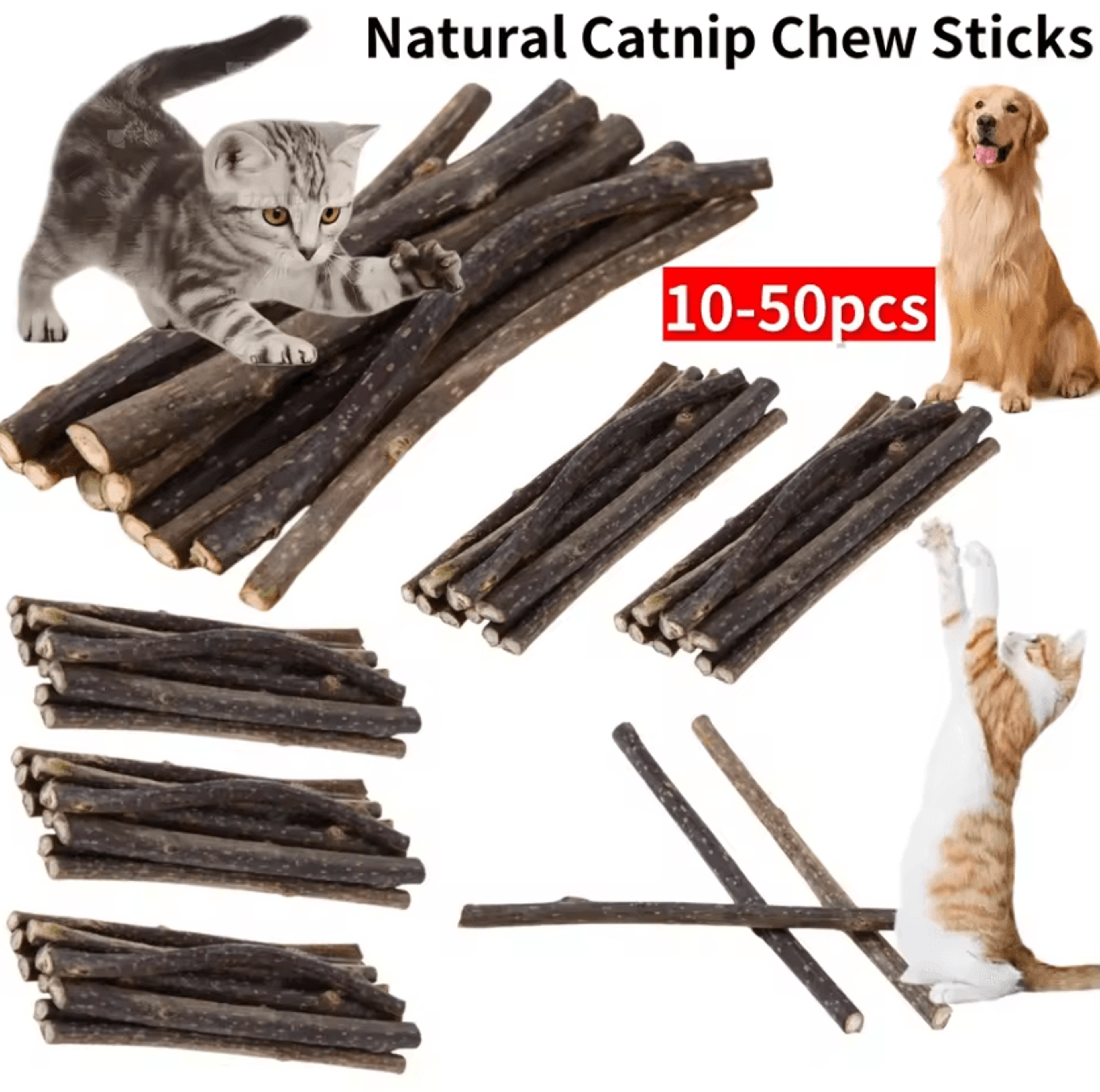 SilverVine Bliss Natural Catnip Sticks For Cats Dental Chew Toys 0