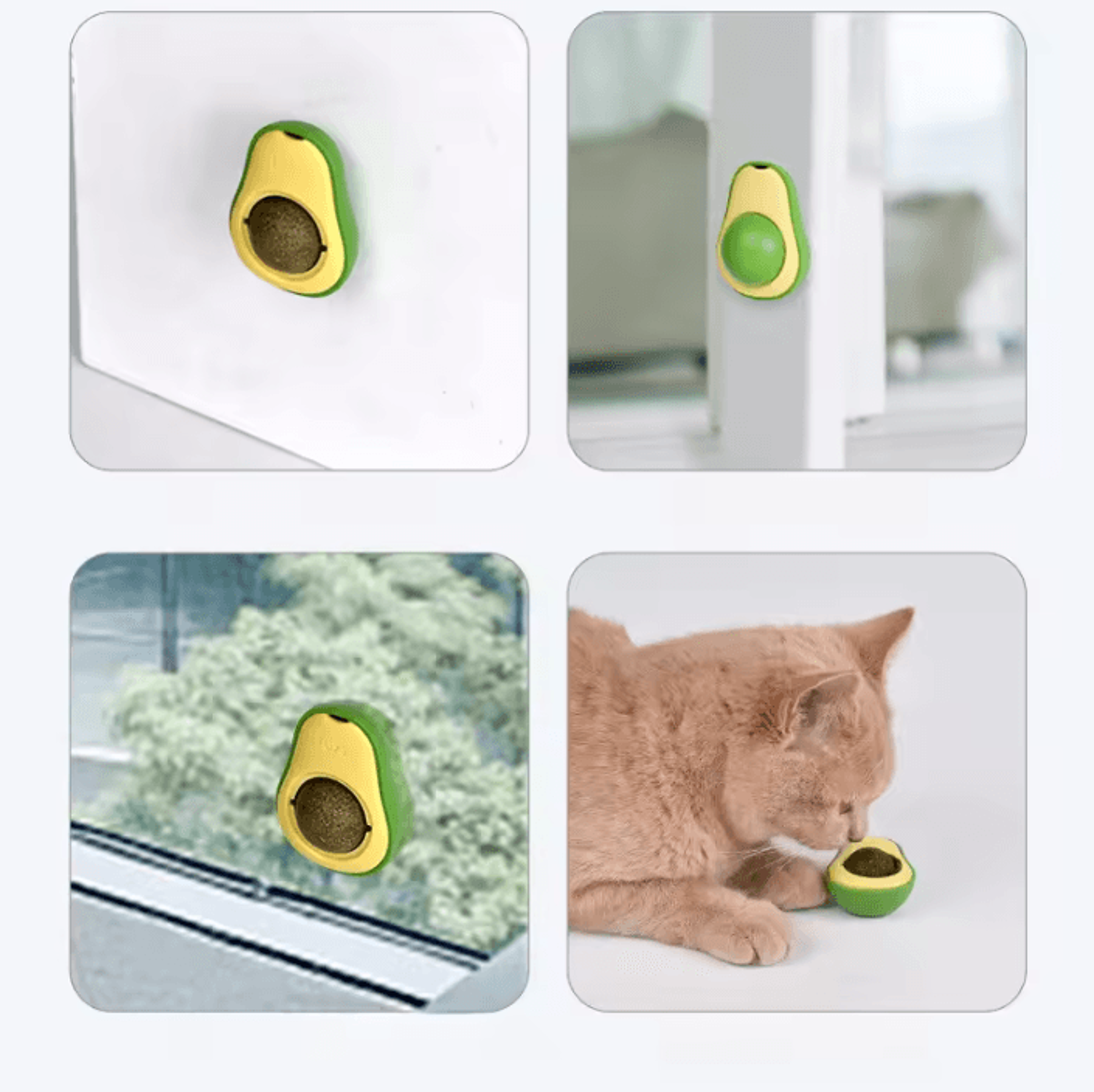 PurrFresh Natural Catnip Ball Toy  Cat Grass Treat 3