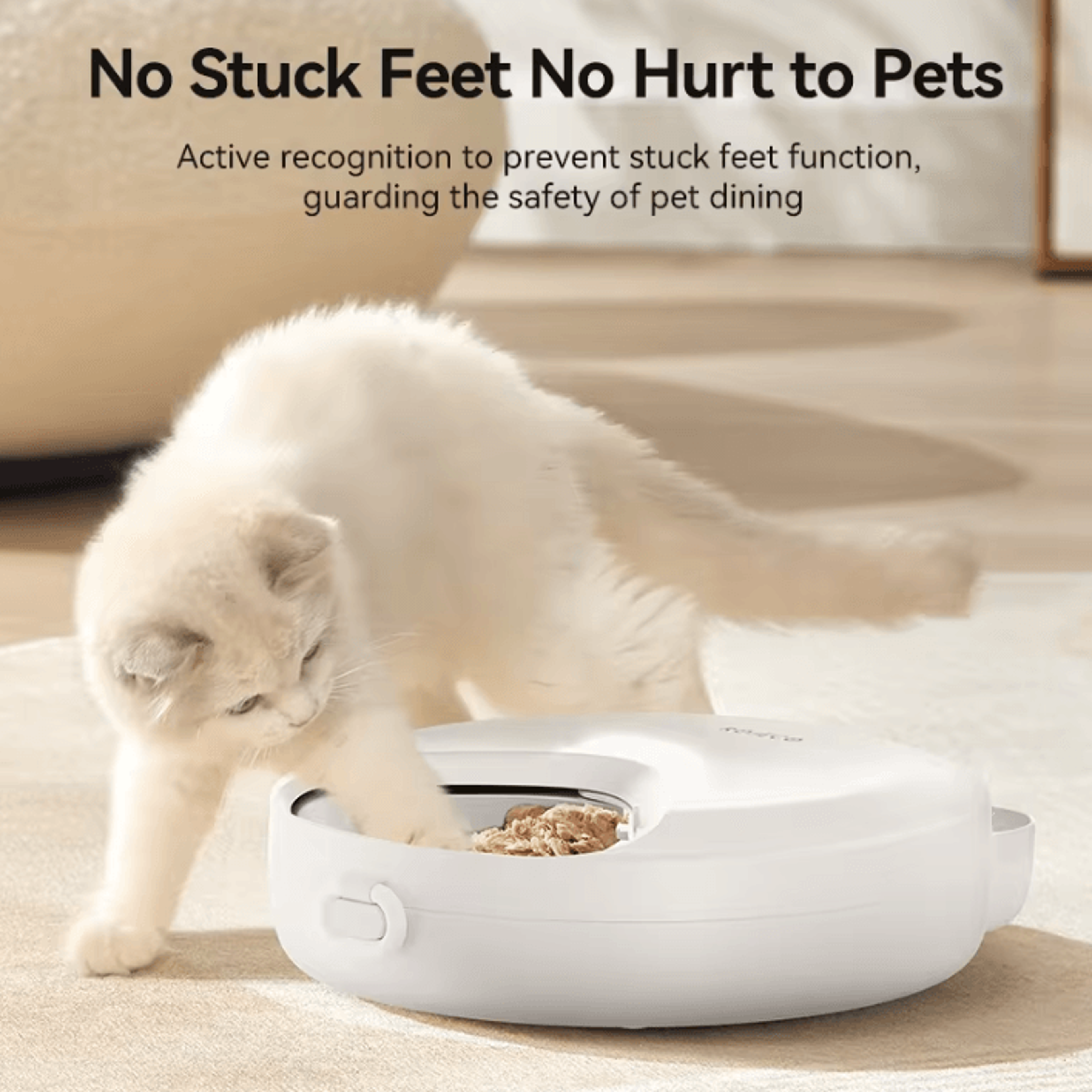 SmartServe 4Meal Automatic Wet  Dry Pet Feeder 4